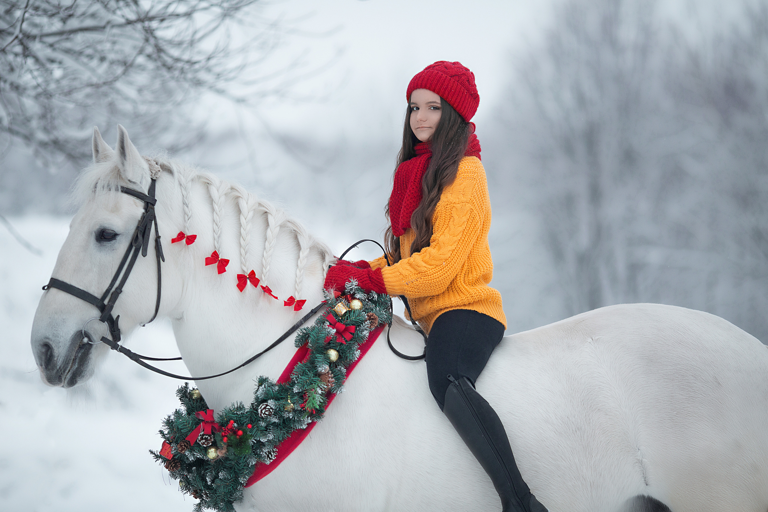 Виктория и Воробей фотодень. Фотосессия с лошадьми в Нижнем Новгороде
