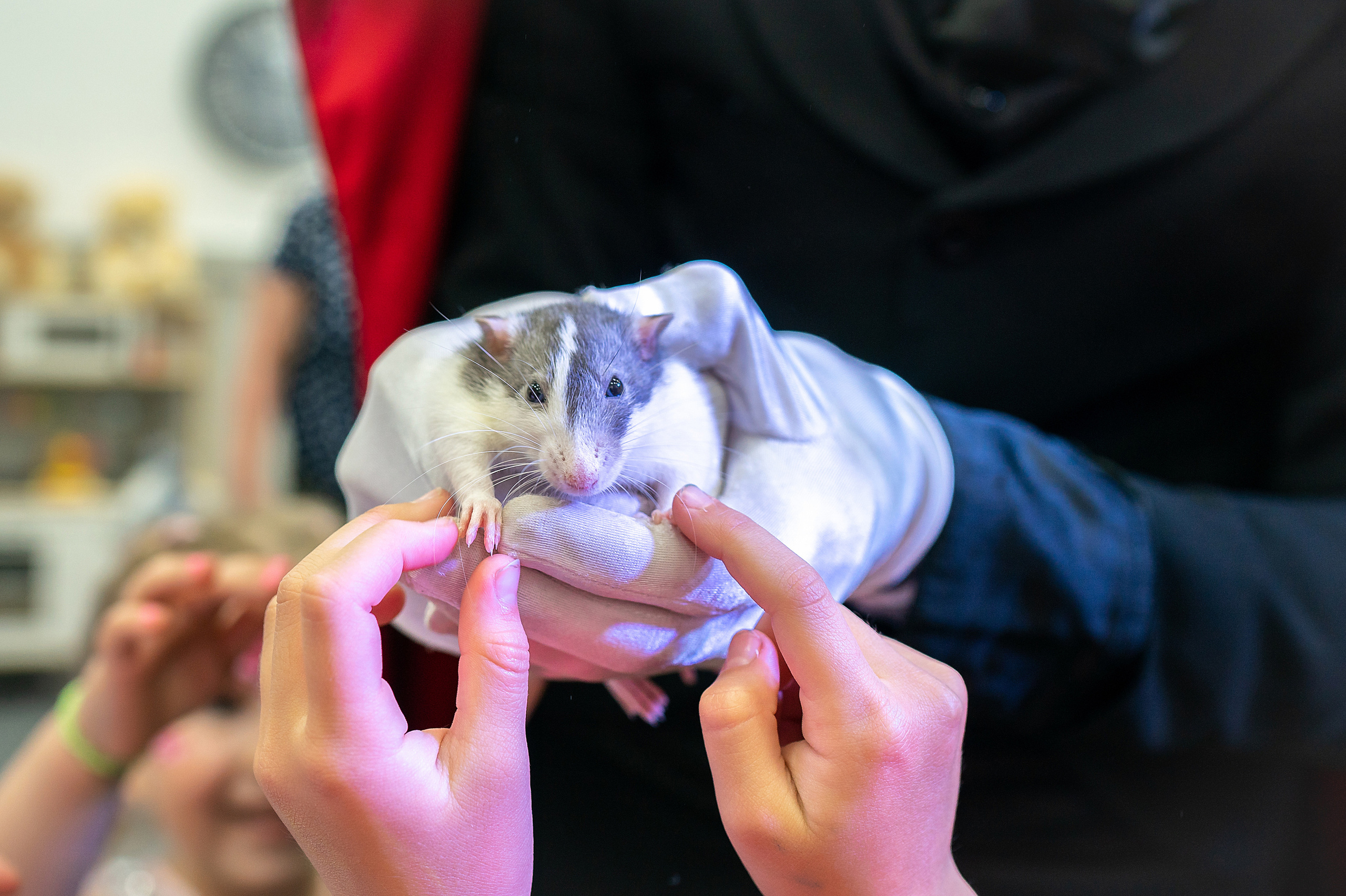Детский фотограф в Красноярске, детские праздники красноярск, аниматор. Фотограф на Крещение и Венчание в Красноярске Рамазанова Юлия