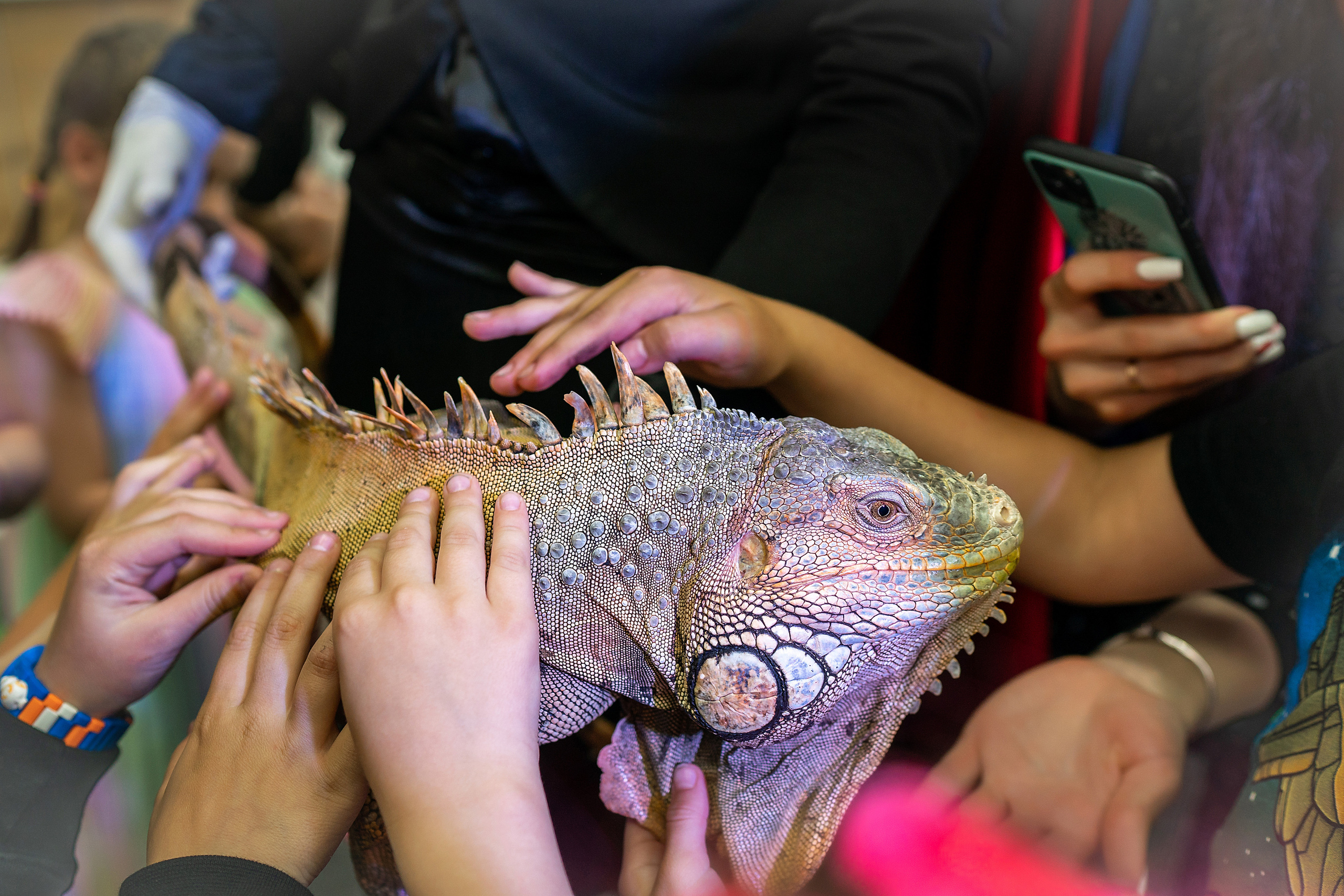 Детский фотограф в Красноярске, детские праздники красноярск, аниматор. Фотограф на Крещение и Венчание в Красноярске Рамазанова Юлия