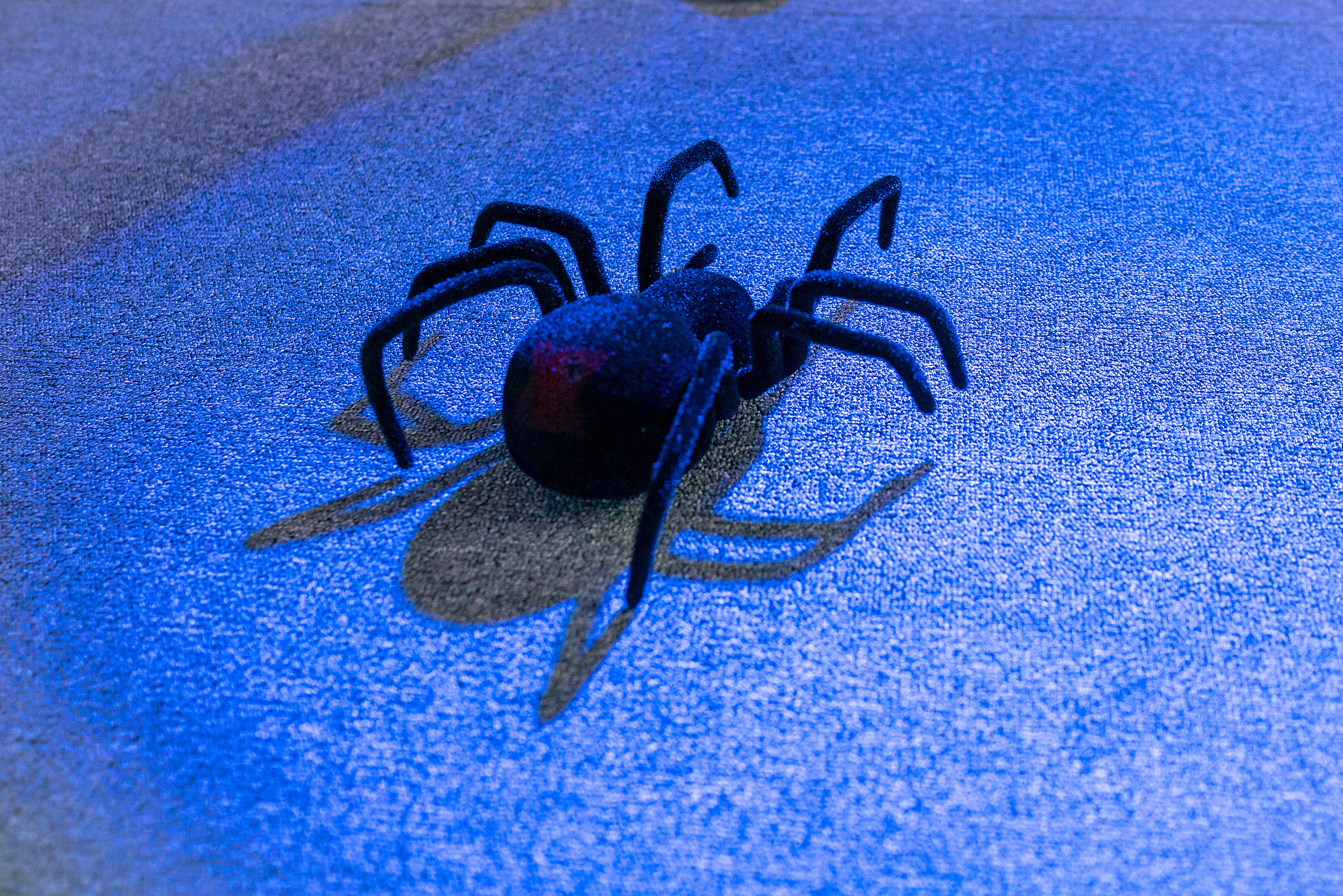 Детский фотограф в Красноярске, детские праздники красноярск, аниматор. Фотограф на Крещение и Венчание в Красноярске Рамазанова Юлия