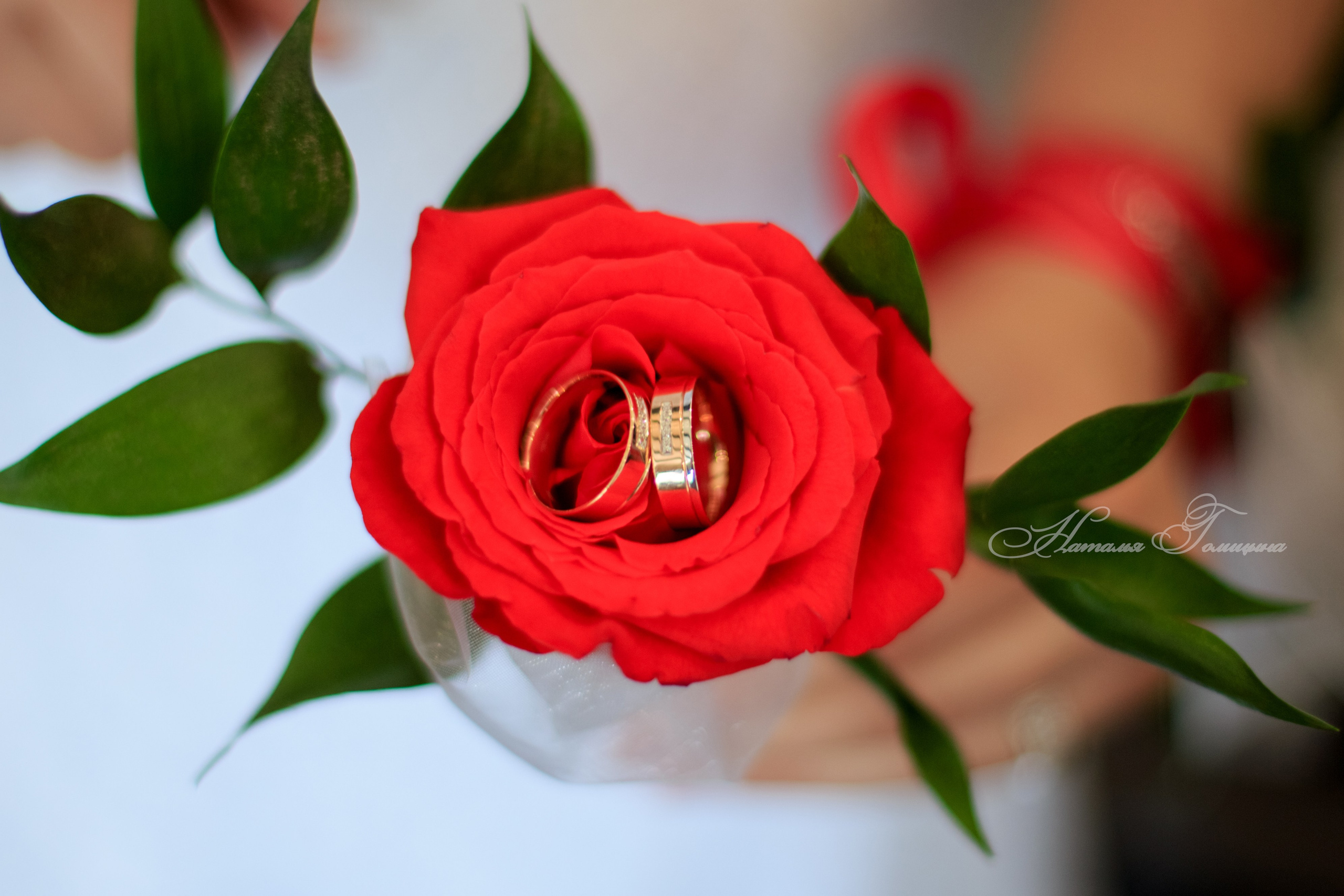 Свадебные съемки. PRO АЛЬБОМ | Выпускные альбомы Иваново Ярославль