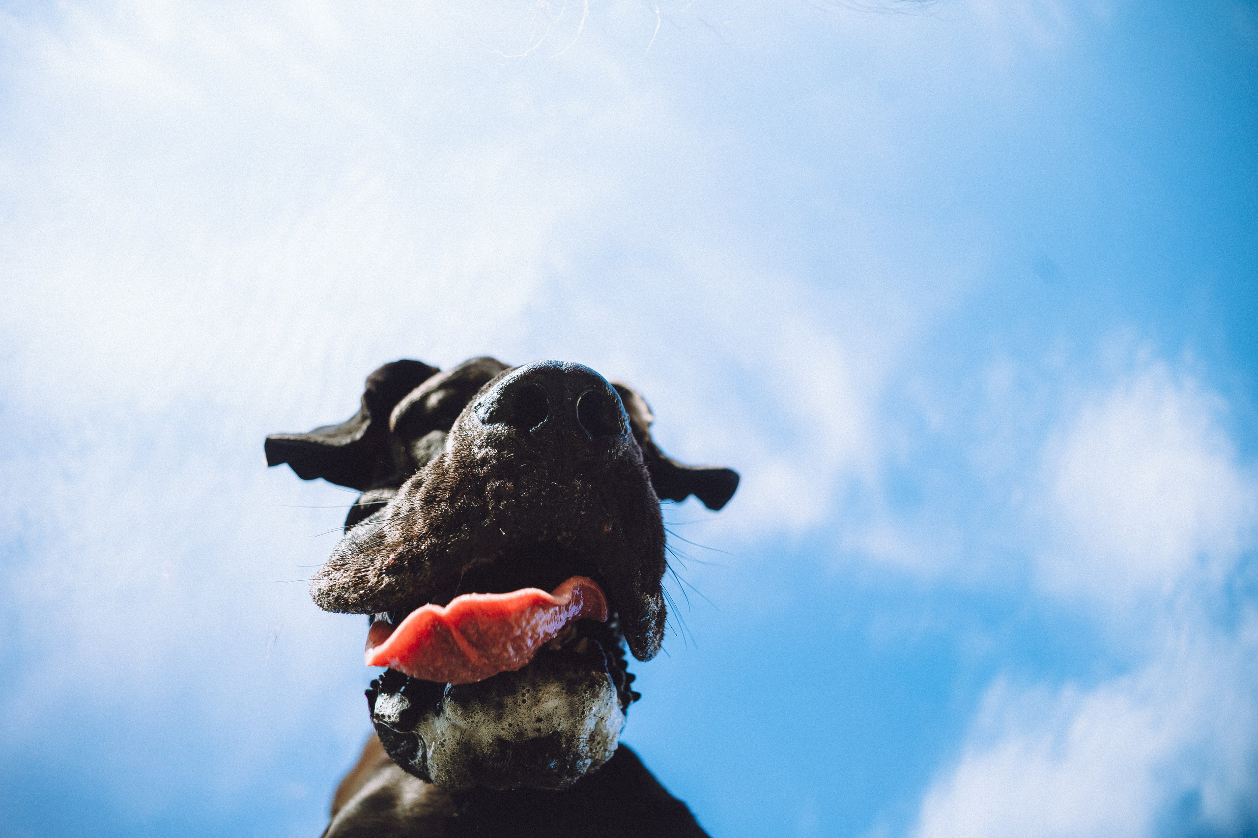 Катя, Андрей, Гектор, Ричи, Тортик и Трой