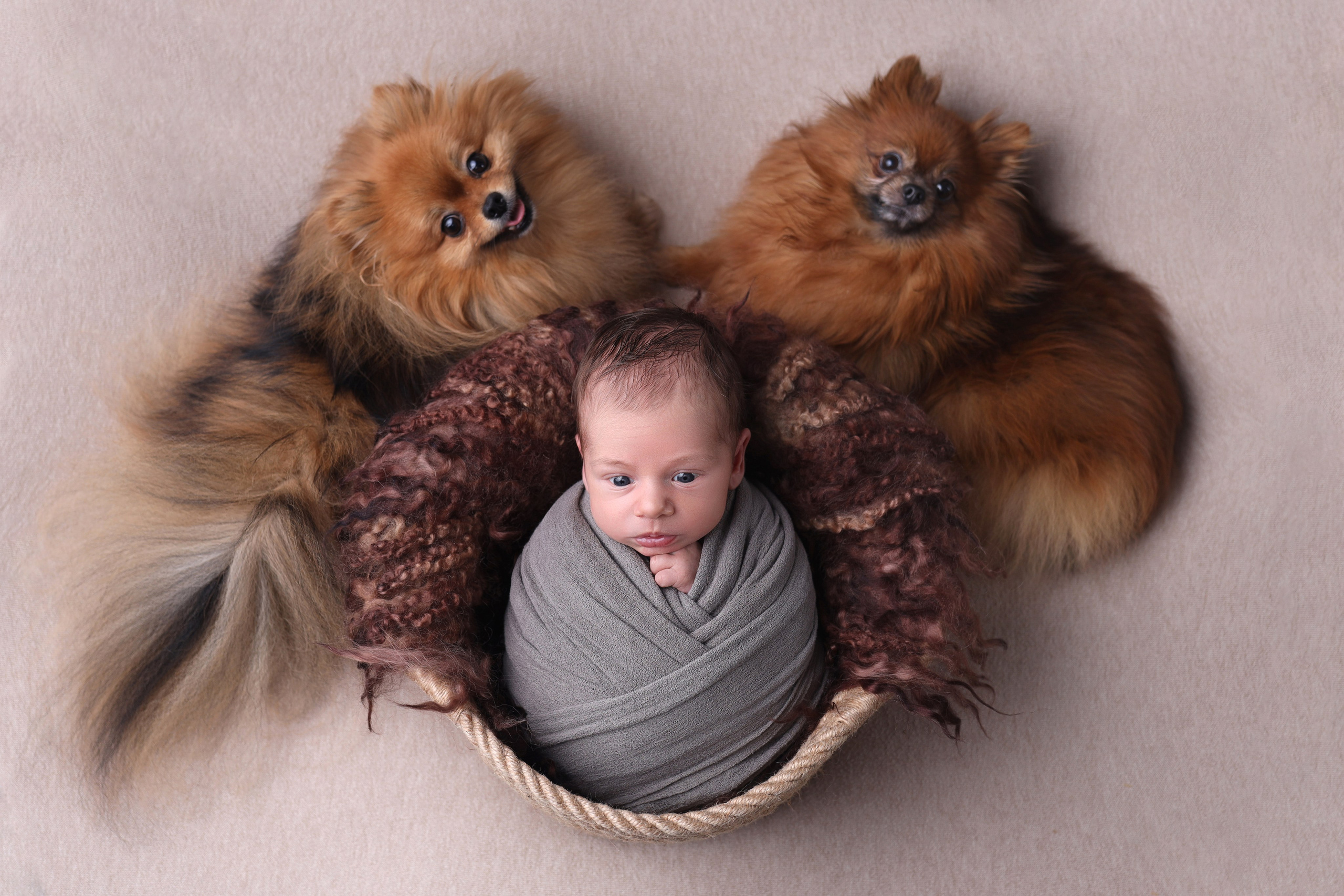 Newborn мальчики. Фотограф новорожденных Модяева Ирина