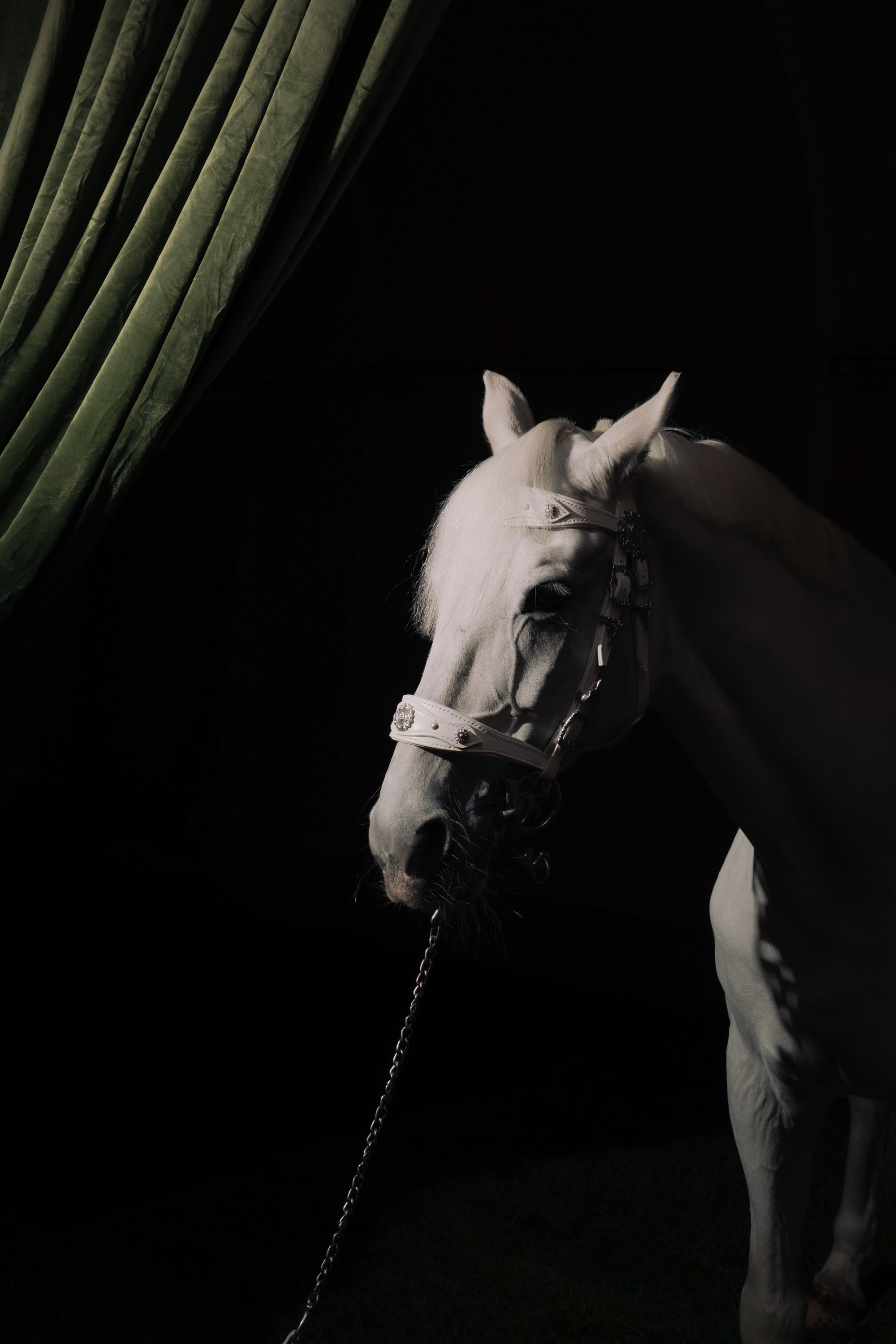 Портретный и репортажный фотограф в Санкт-Петербурге Максим Пашков