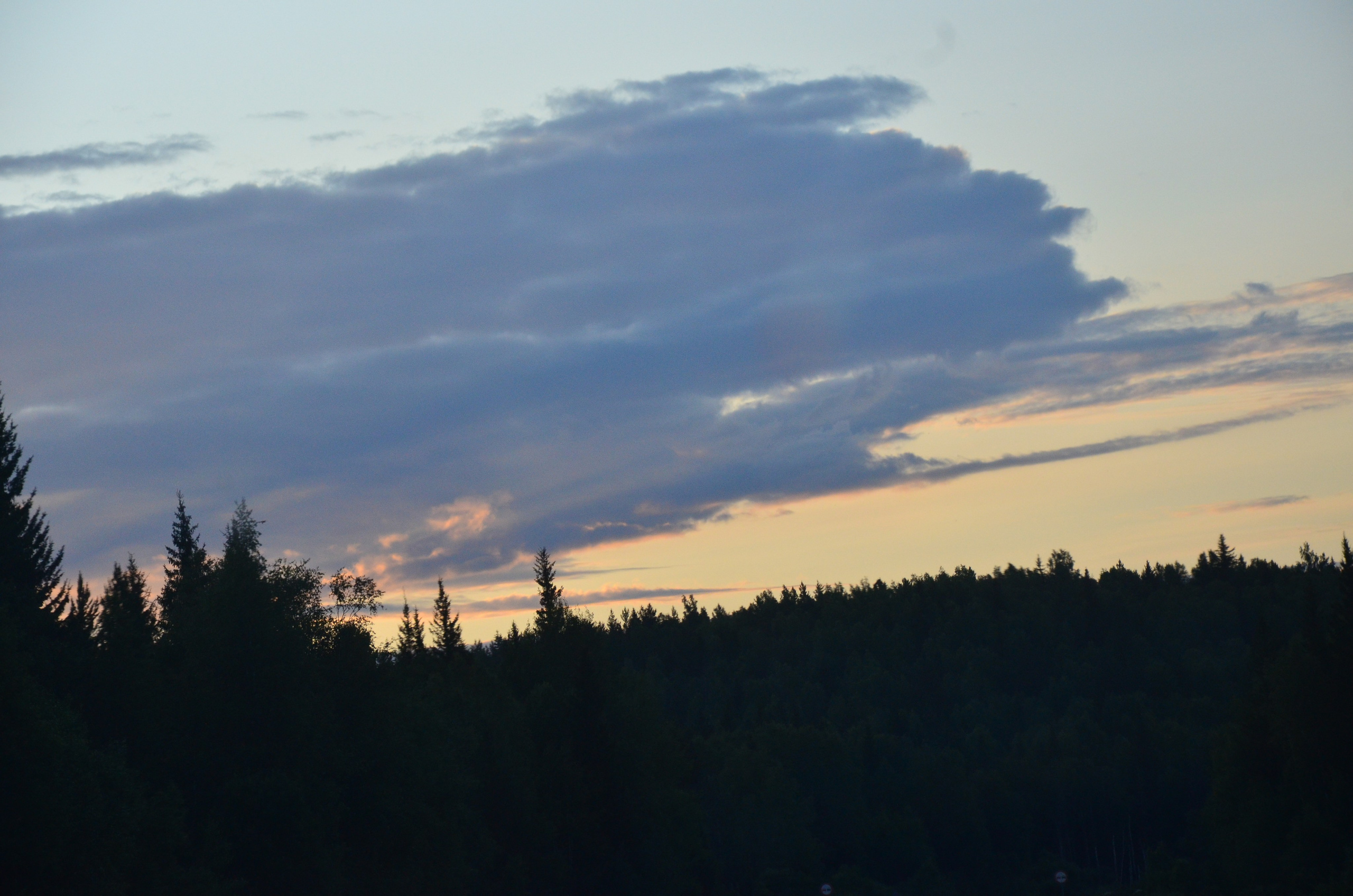 Дары природы. Фотограф viktor viktor