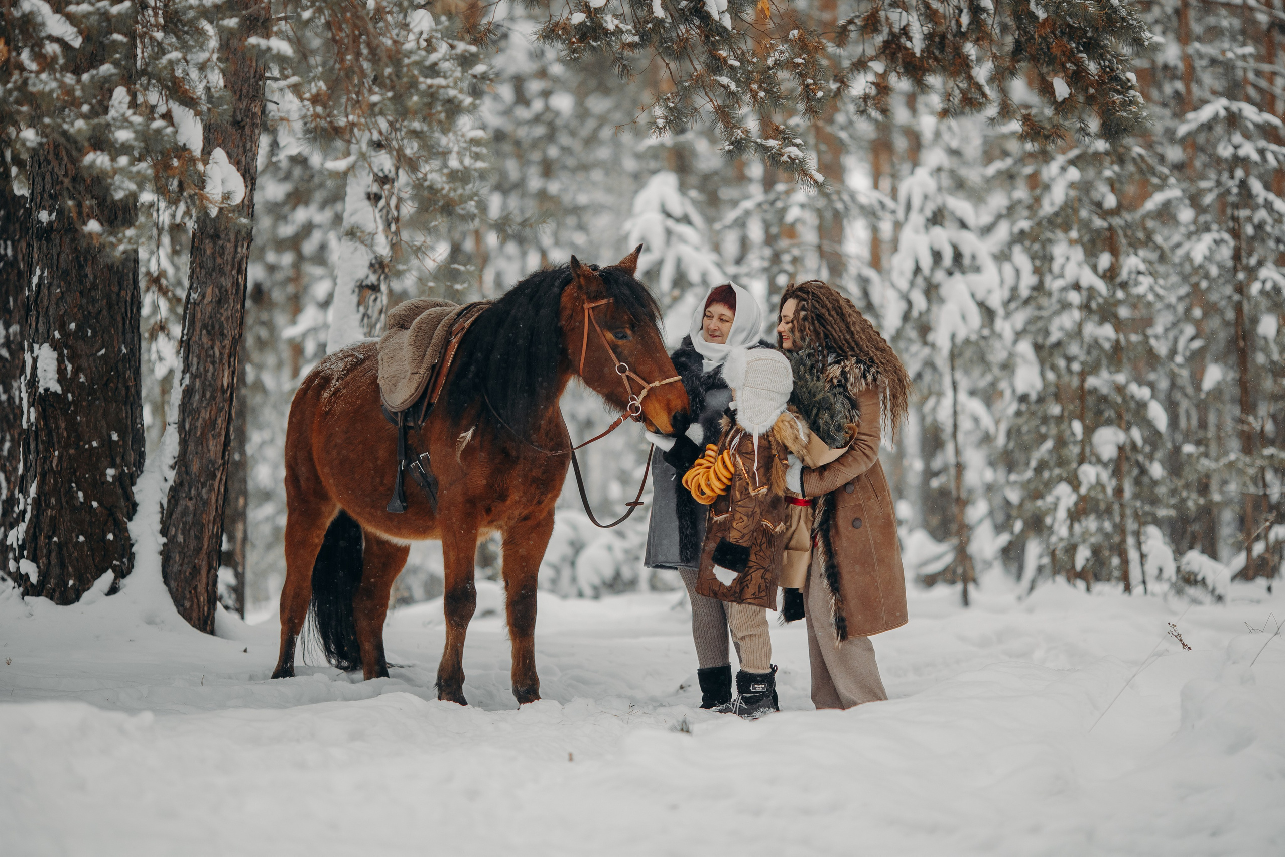 Тоша и баранки. Анна Молчанова конный фотограф в Тюмени | фотосессии с лошадьми Тюмень