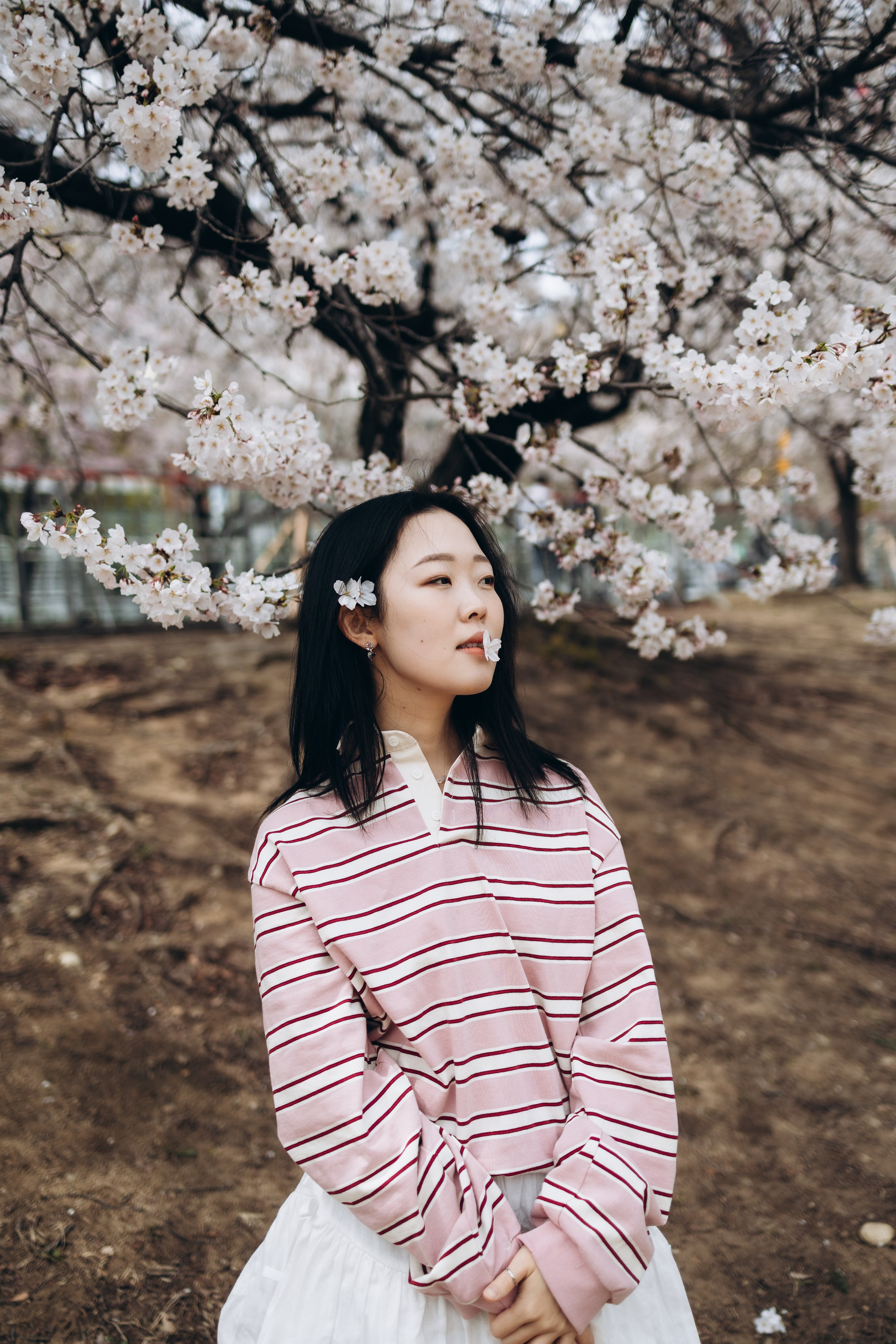 Диша🌸. Фотограф Артем Бросов в Санкт-Петербурге и Дубае