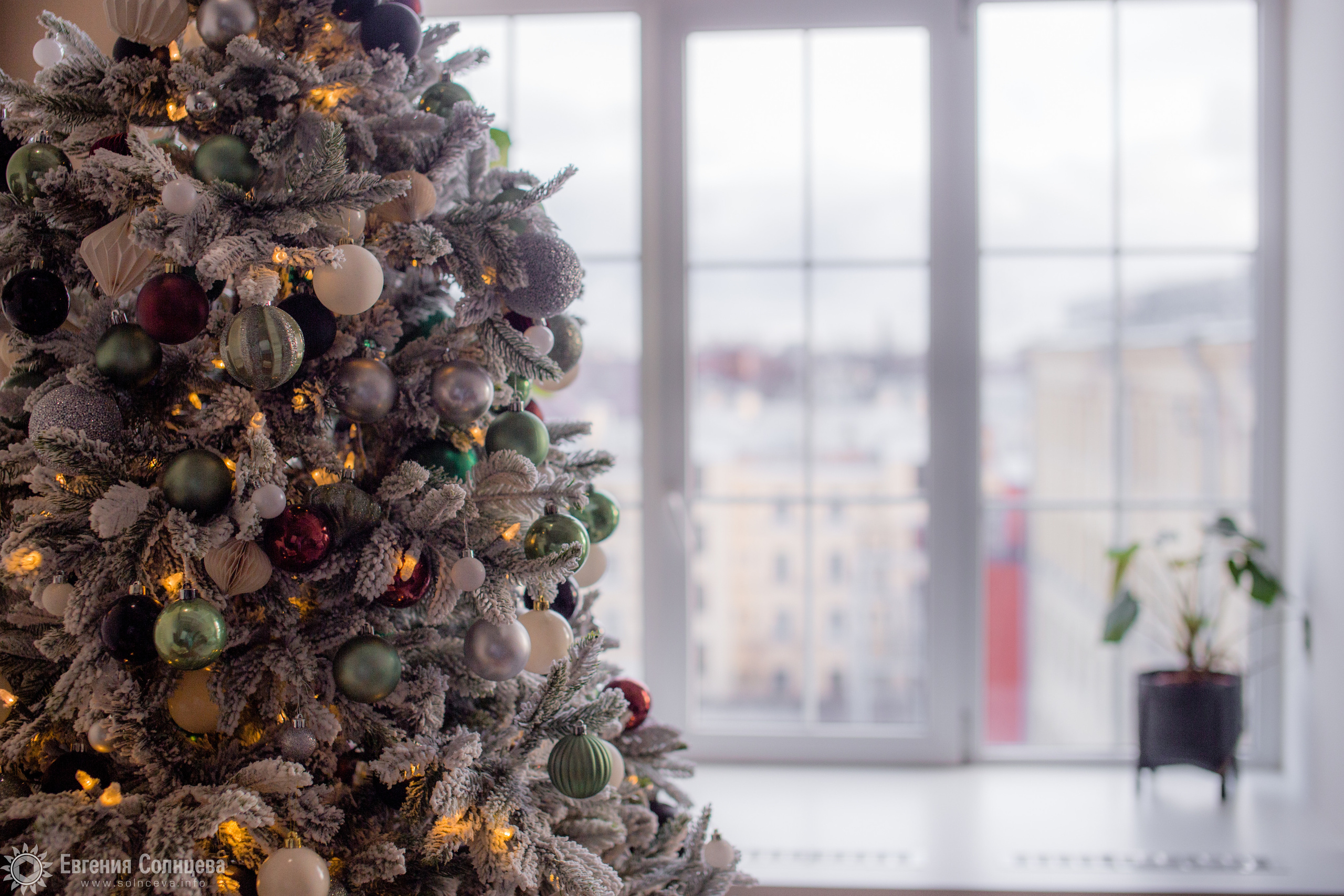 Портретный фотограф в Санкт-Петербурге. Фотограф в Санкт-Петербурге, — Евгения Солнцева