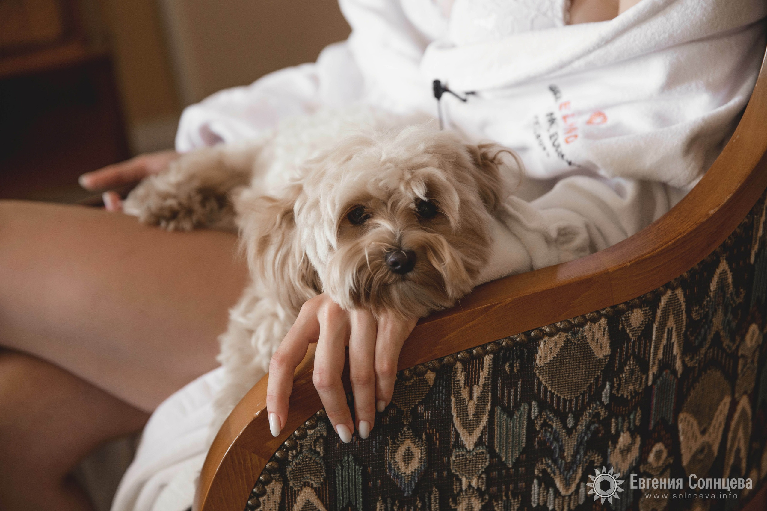 Свадебный фотограф в Санкт-Петербурге - портфолио. Свадебные серии. Фотограф в Санкт-Петербурге, — Евгения Солнцева