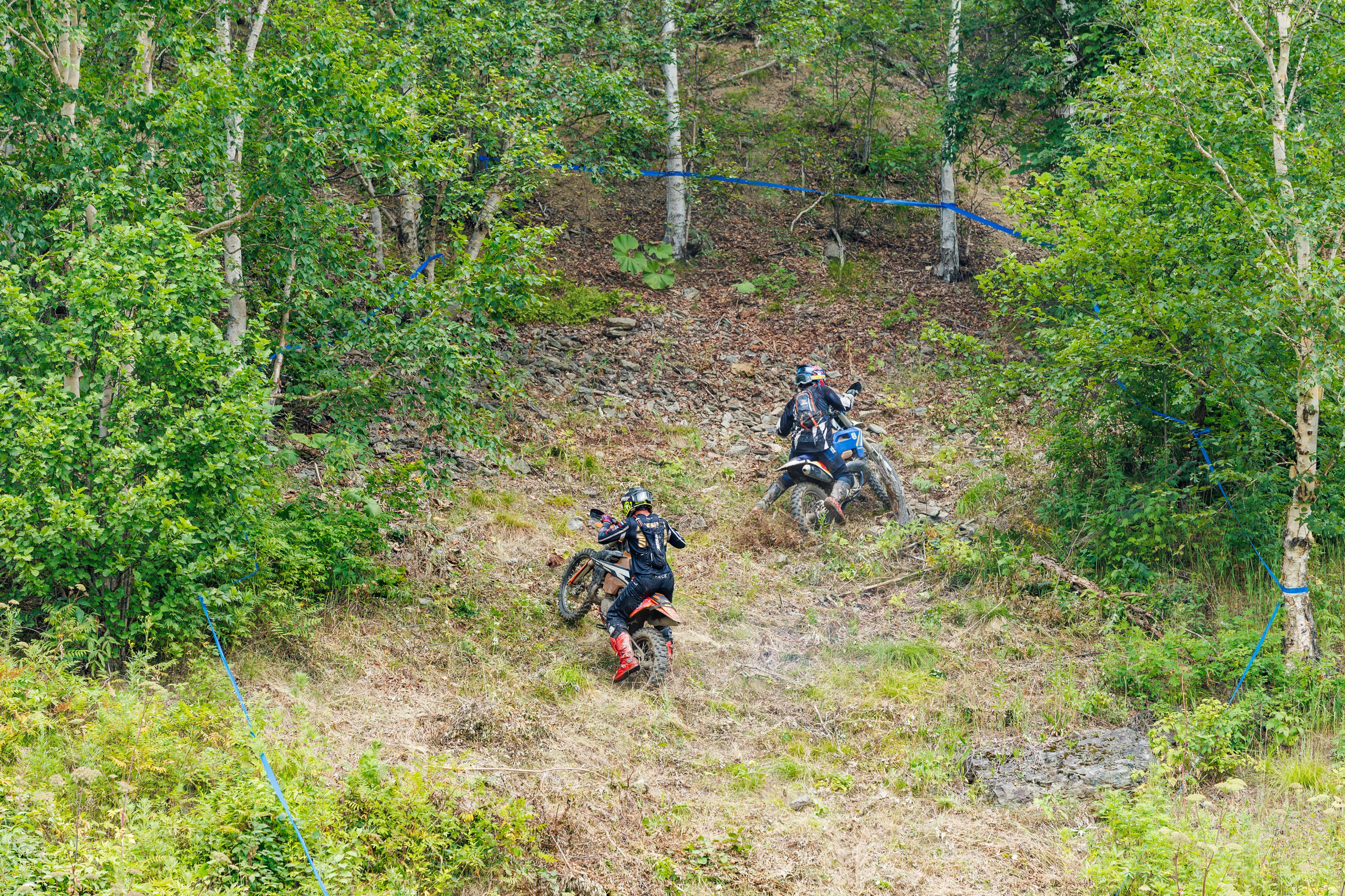 NPR-2025. Свадебный, семейный и репортажный фотограф в Южно-Сахалинске Артур Петросян