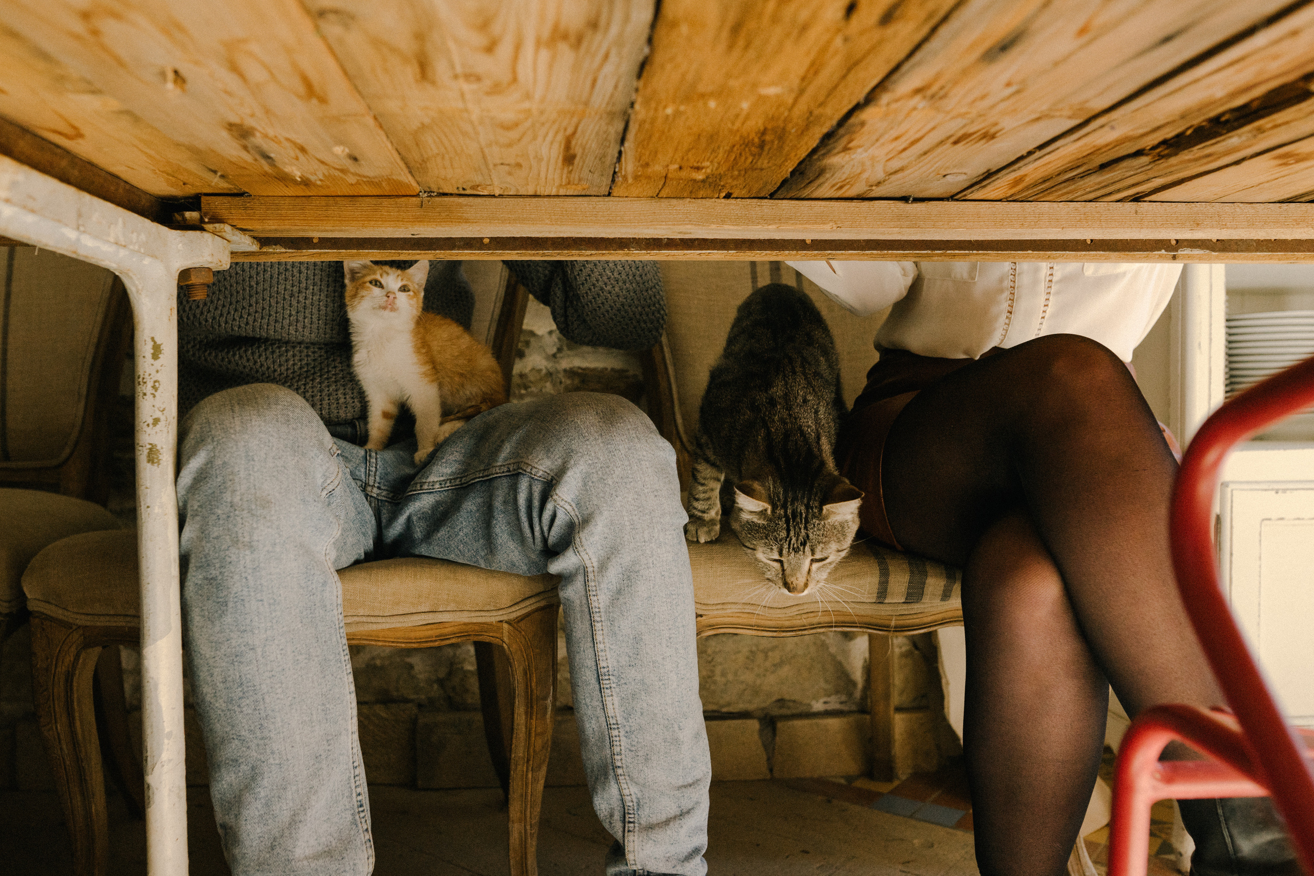 Истории любви. Профессиональный фотограф Геленджик, Новоросийск Виктория Цейс