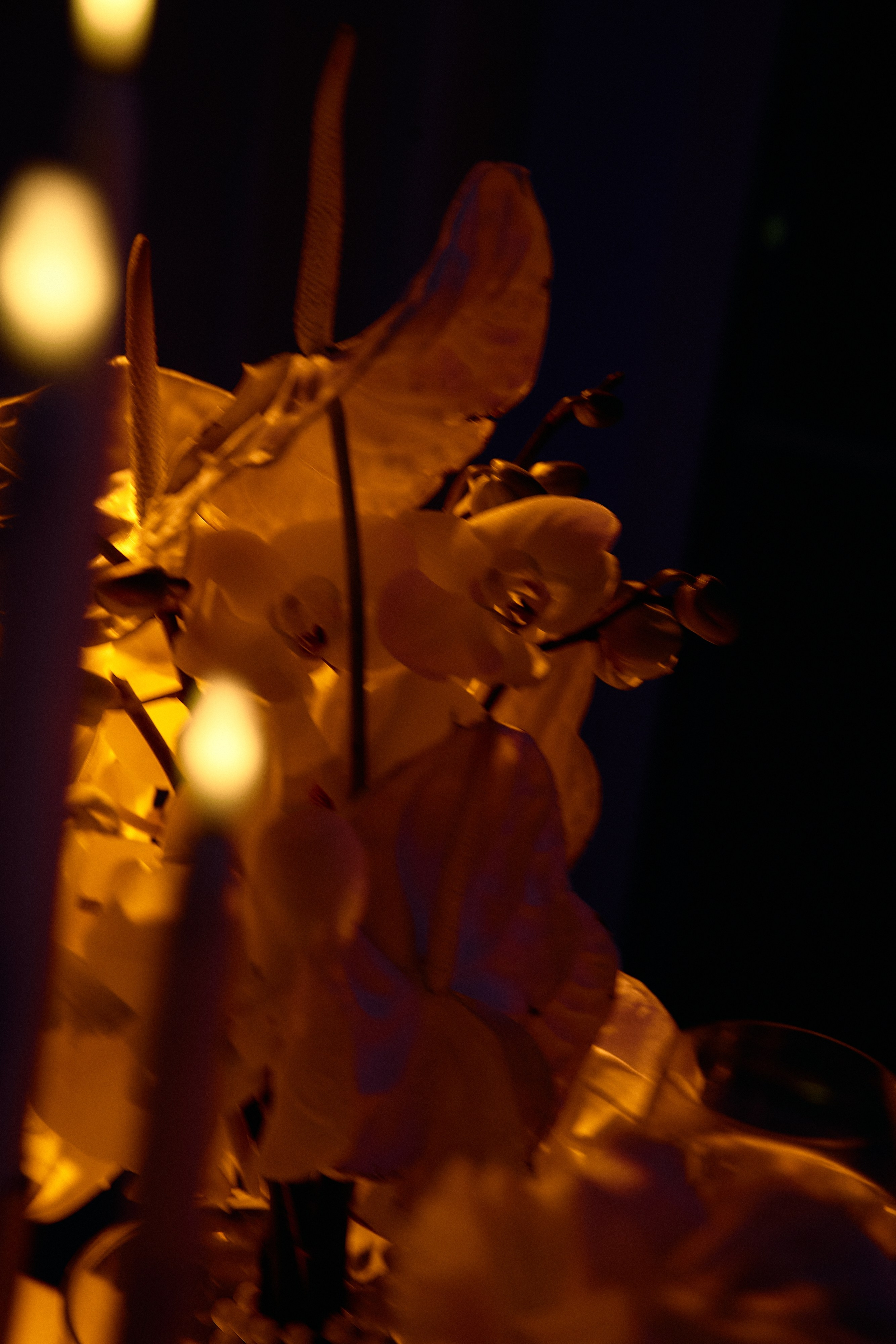 Андрей и Вероника. Свадебный фотограф Минск РБ