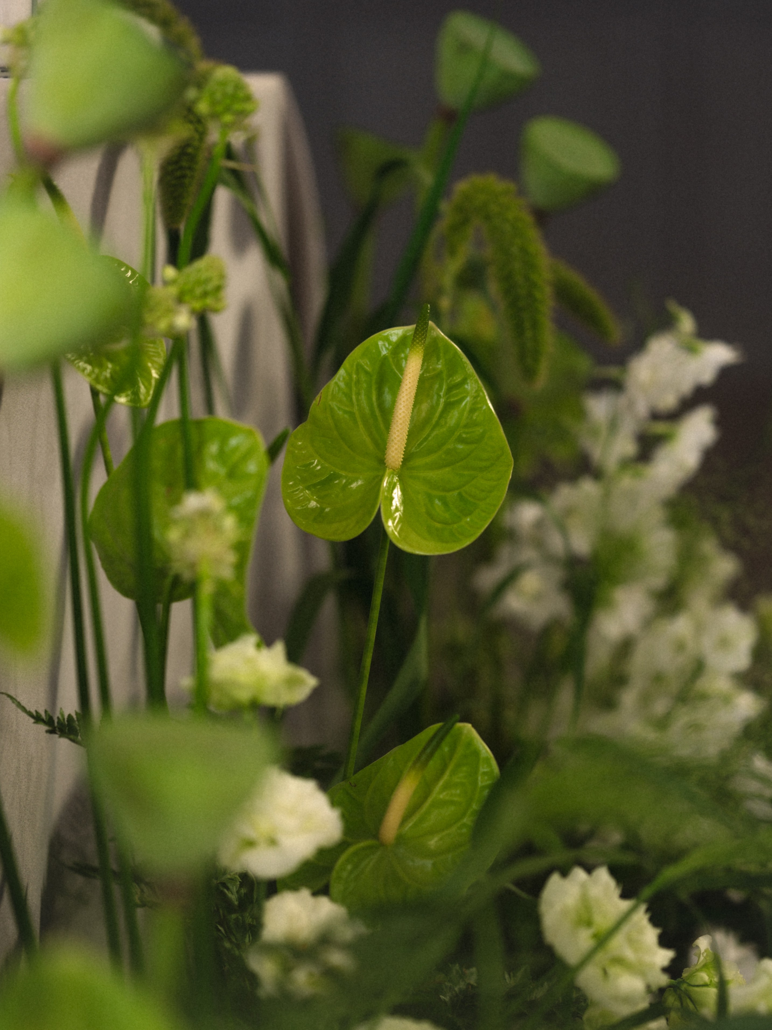 Мария и Никита. Бунгало в Москве.Аренда Бунгало в Мск