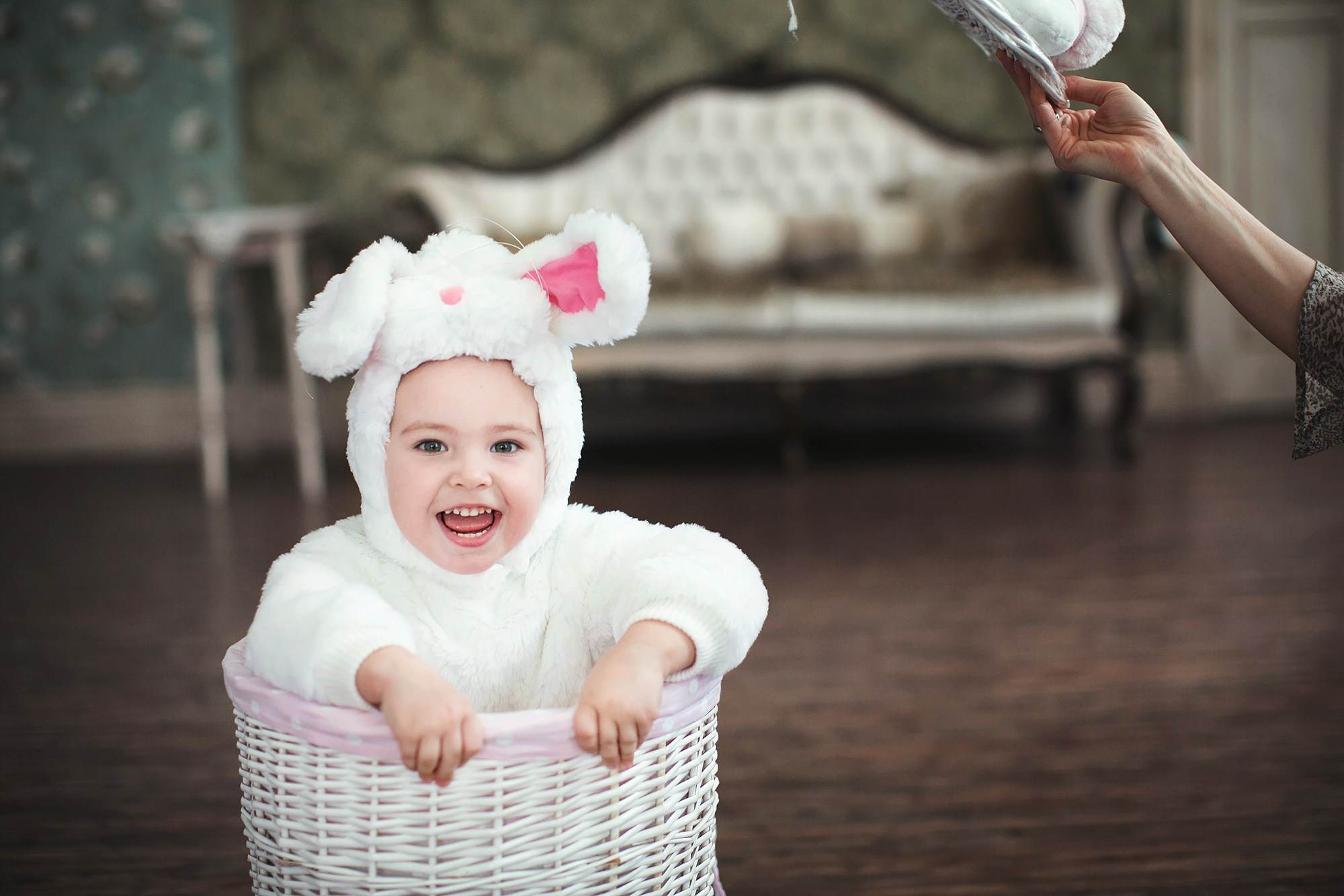 Семейная фотография. Павел Иванов. Создание профессионального медиаконтента. Москва