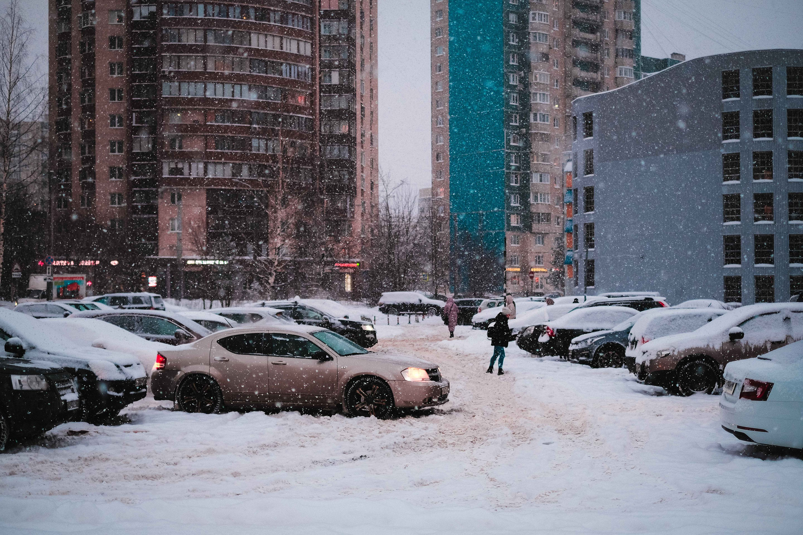 2021.12. Фотограф Алексей Алексеев