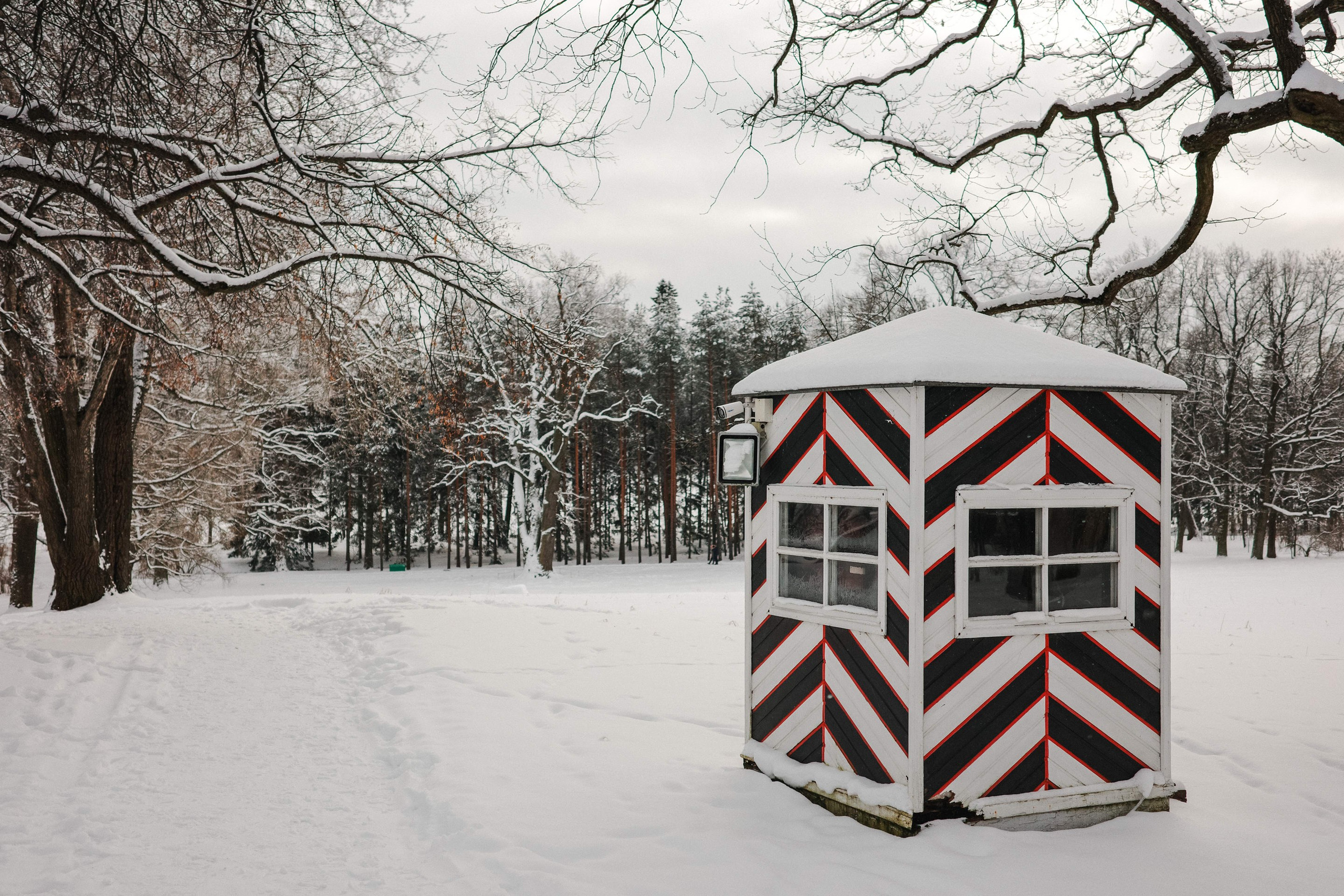 2025.02. Фотограф Алексей Алексеев