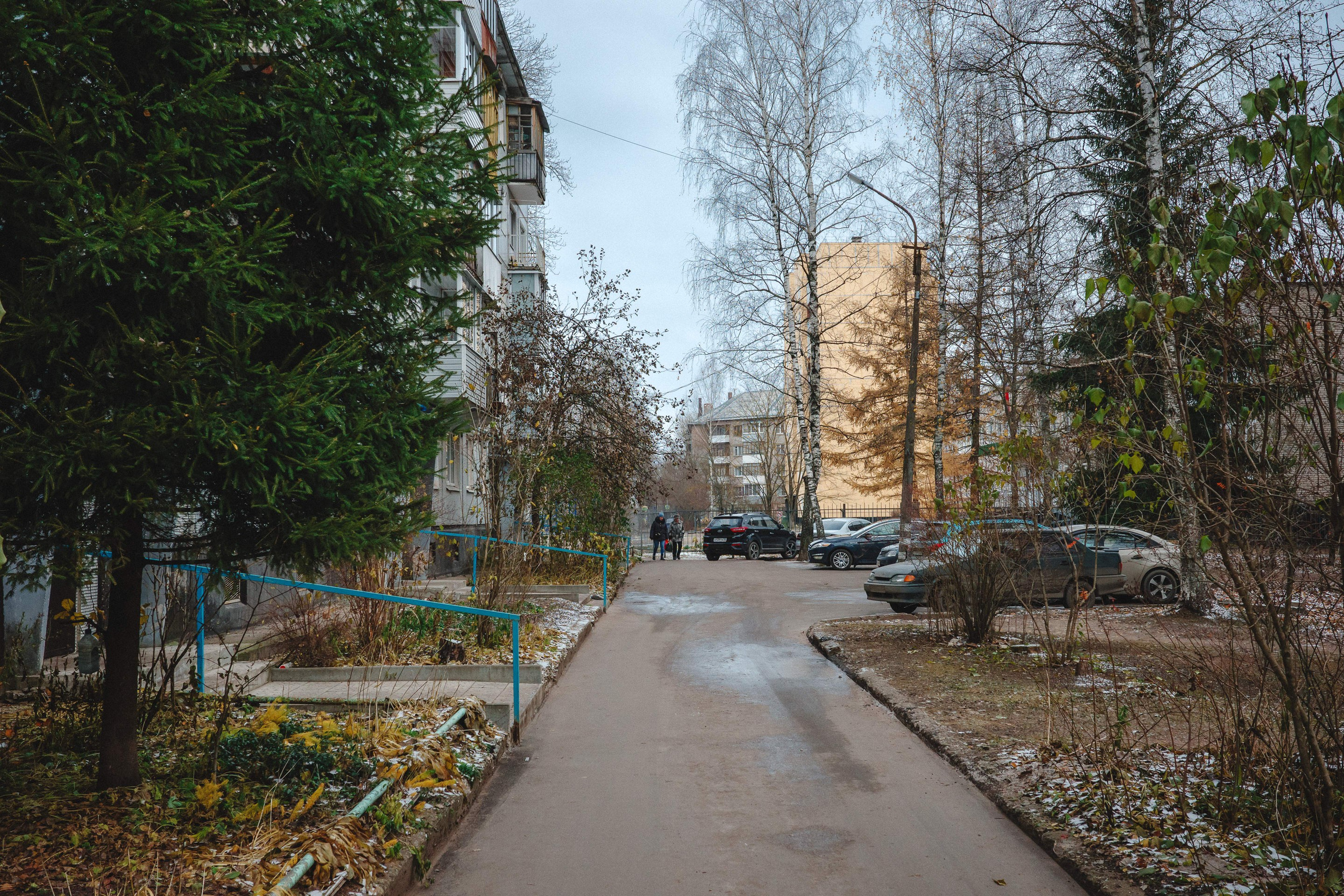 2023.11. Фотограф Алексей Алексеев