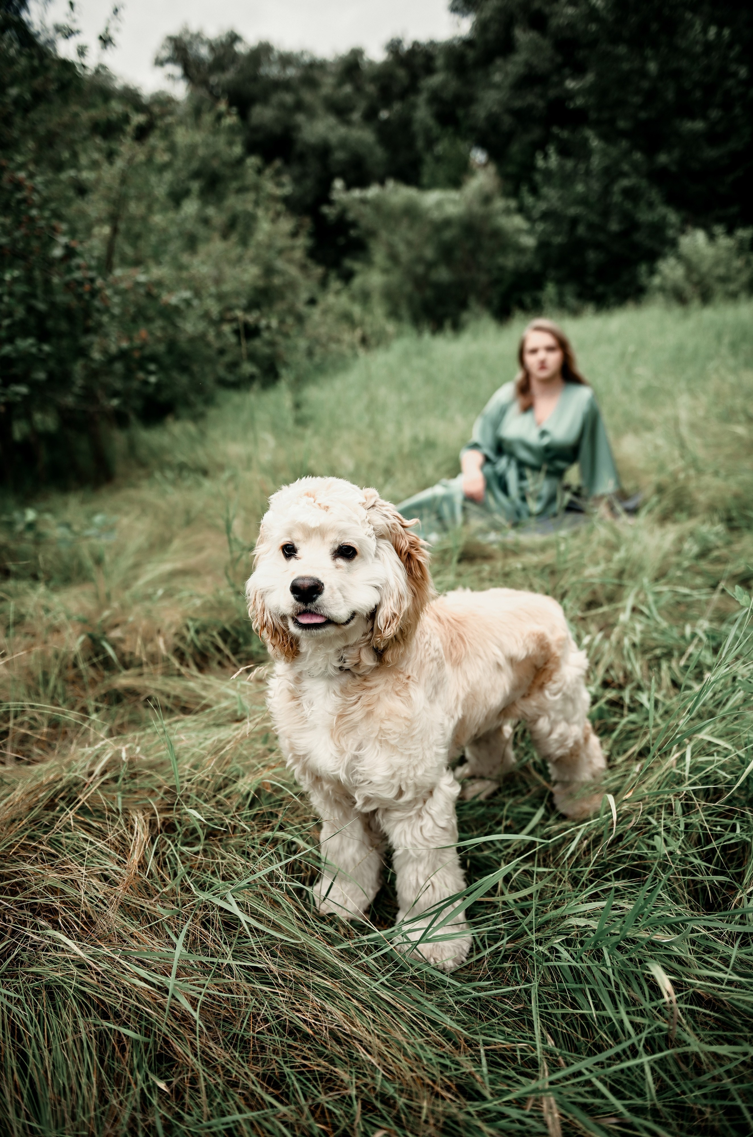 Love story прогулка вместе с песиком))). Свадебный, семейный, детский, контент фотограф в Омске Максим Ильин