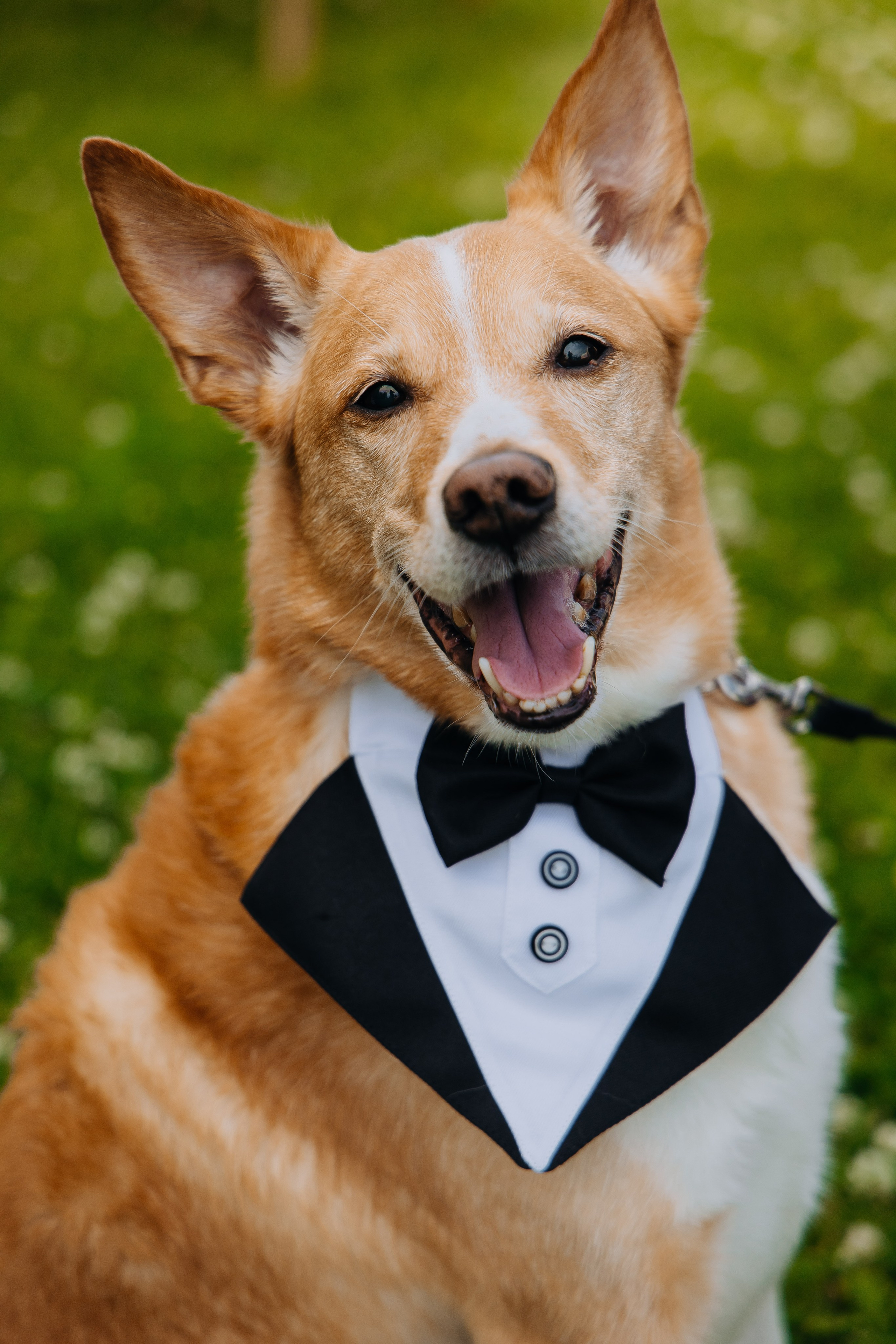 Aurora M+P. Организация и съёмка мероприятий любого формата. Иван Быков