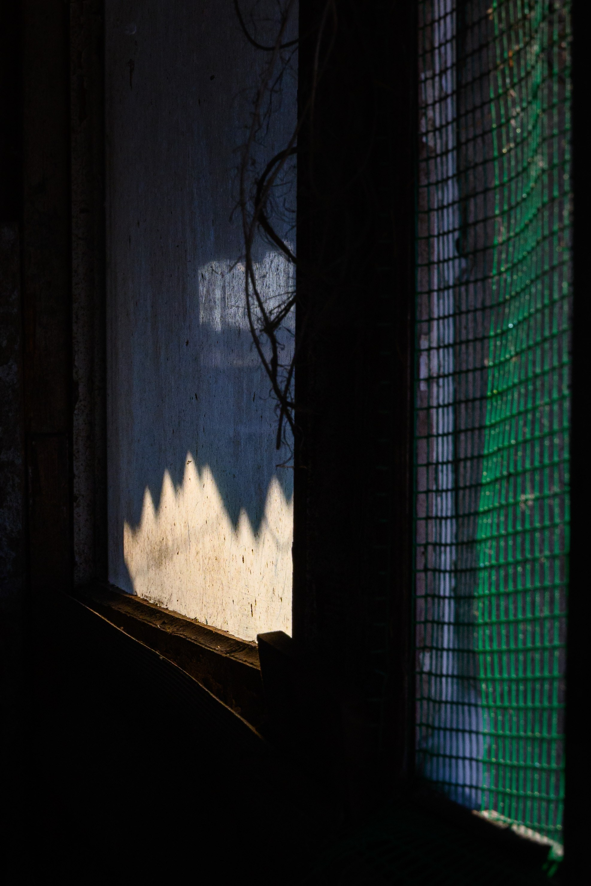 Увидеть свет. Фотограф Антон Денисенко: Портрет, Документалистика, Пейзаж. Москва