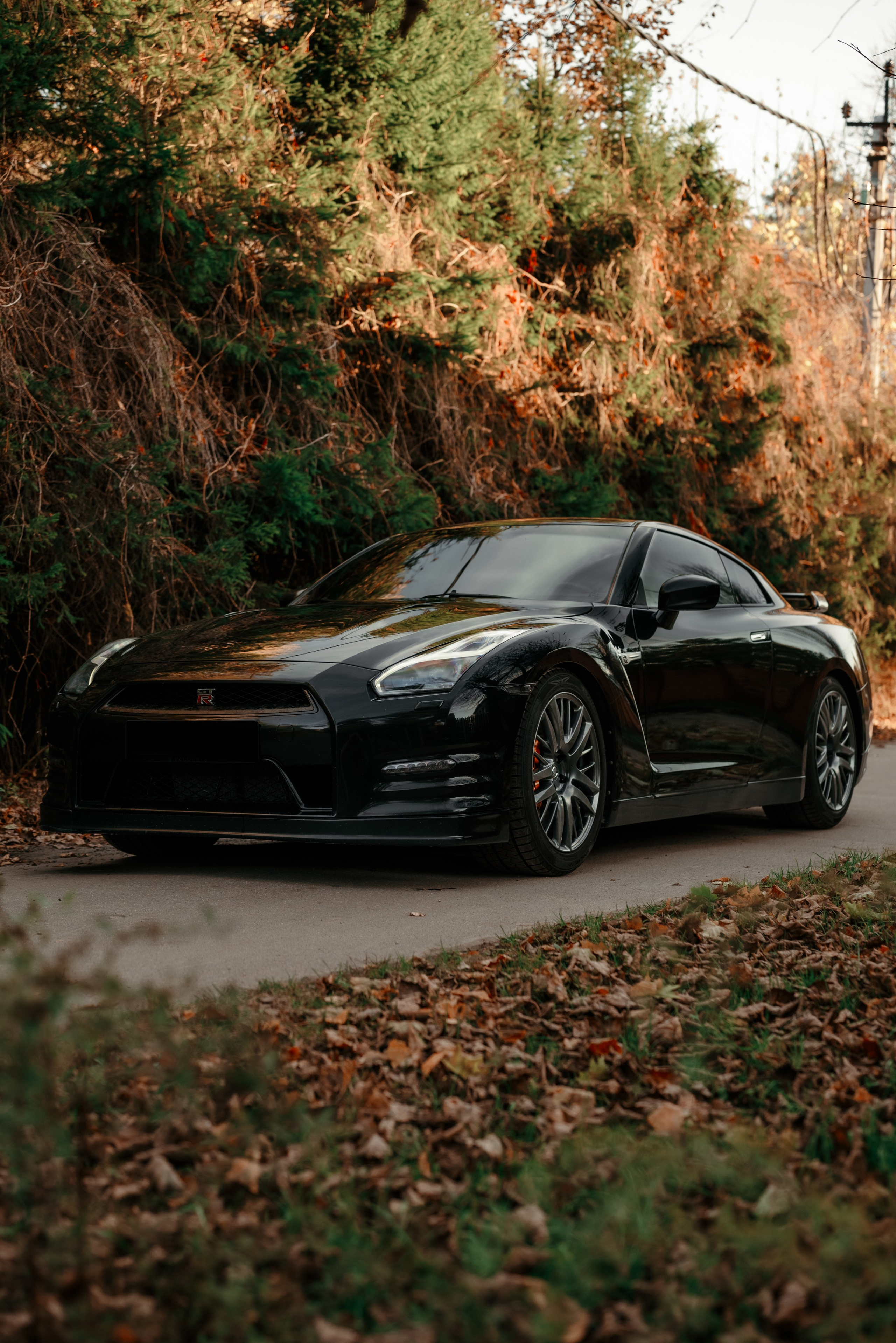 Nissan GT-R35 autumn vibe. DeLorein