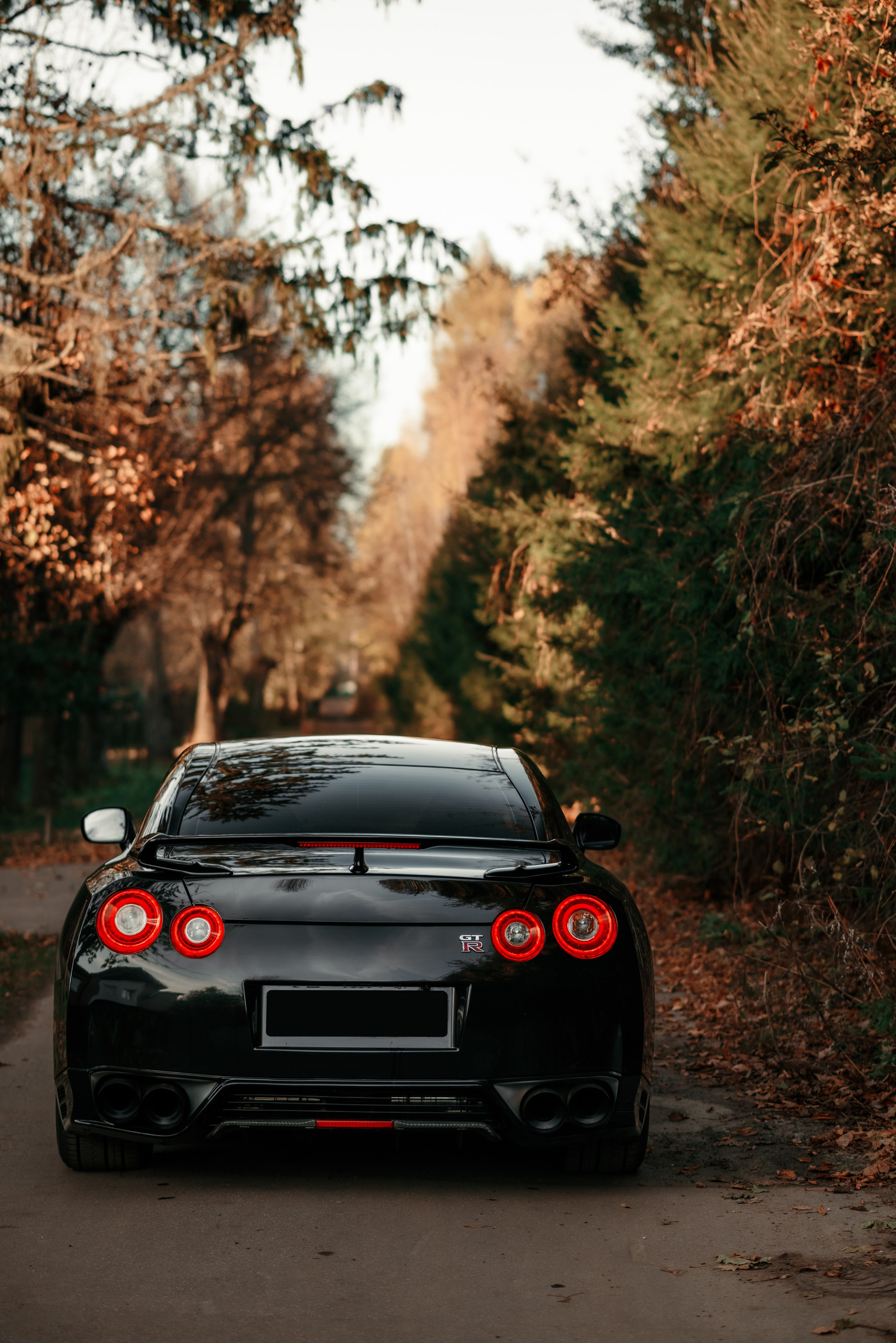 Nissan GT-R35 autumn vibe. DeLorein