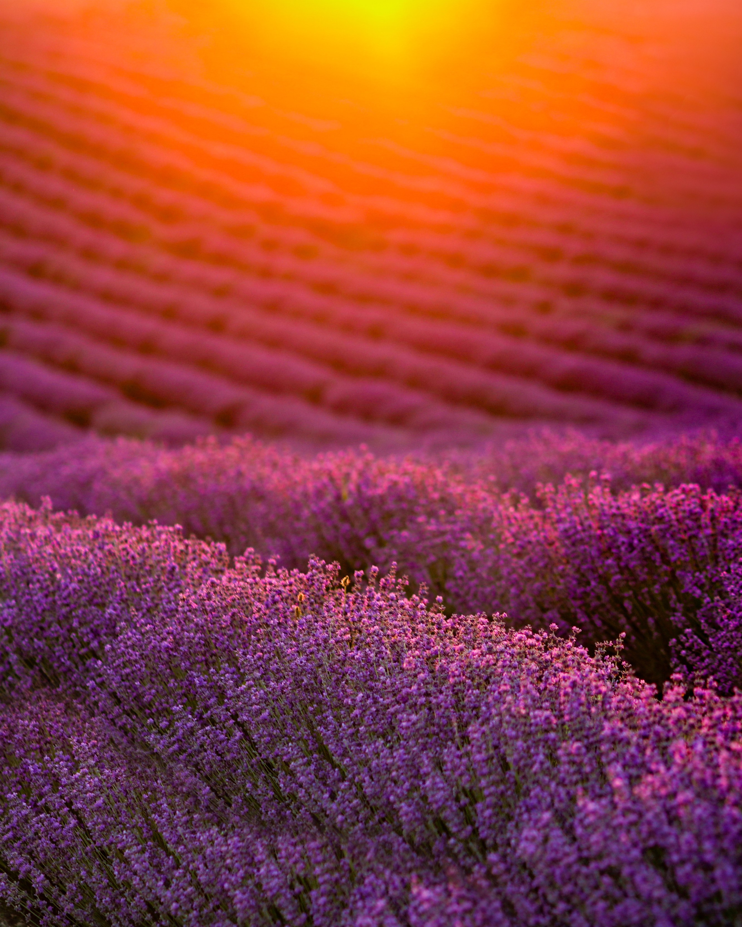 Портфолио. Фотограф Севастополь/Крым Светлана Евтушенко