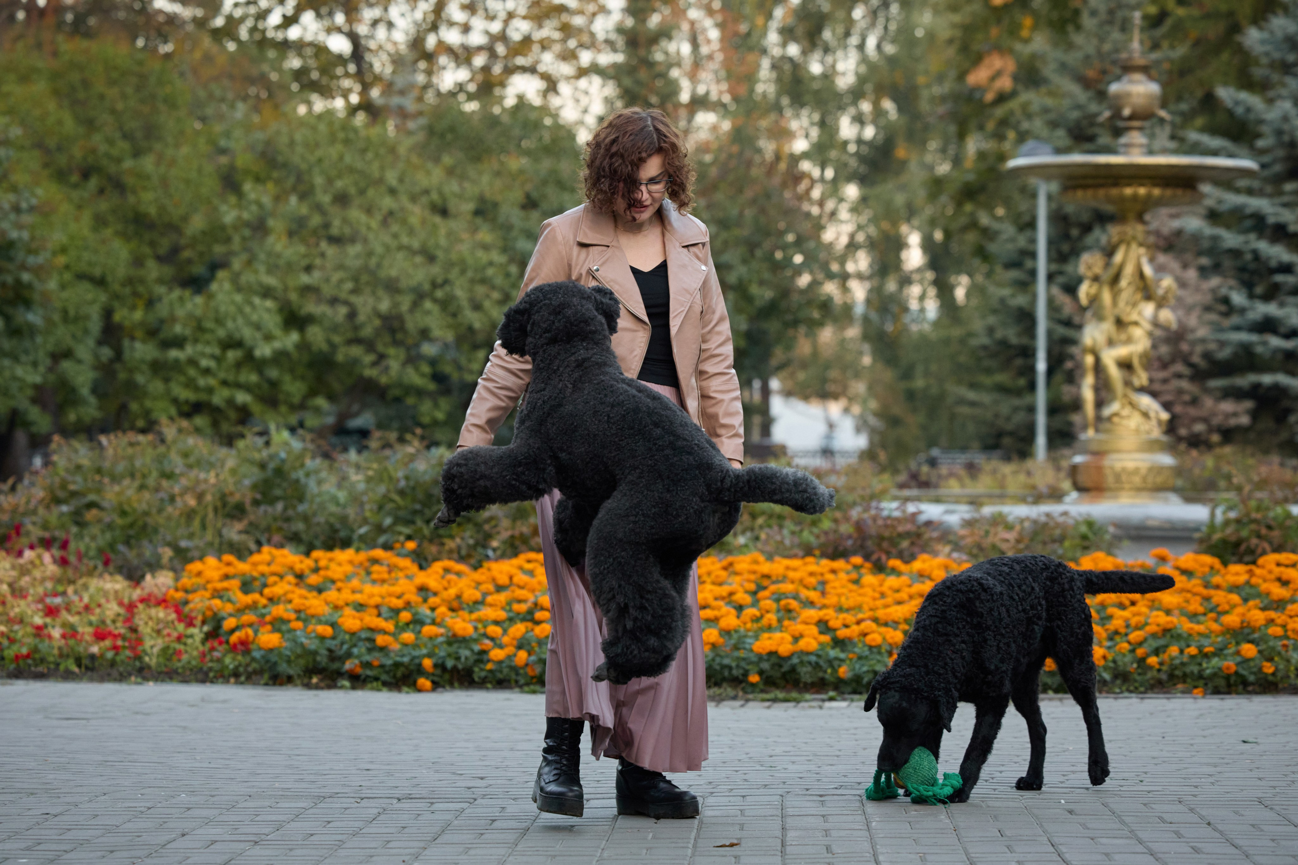 Альбина. Марфа и Мистик. Прогулка в парке. Фотограф анималист в Казани Алина Сулейманова. Фотограф животных