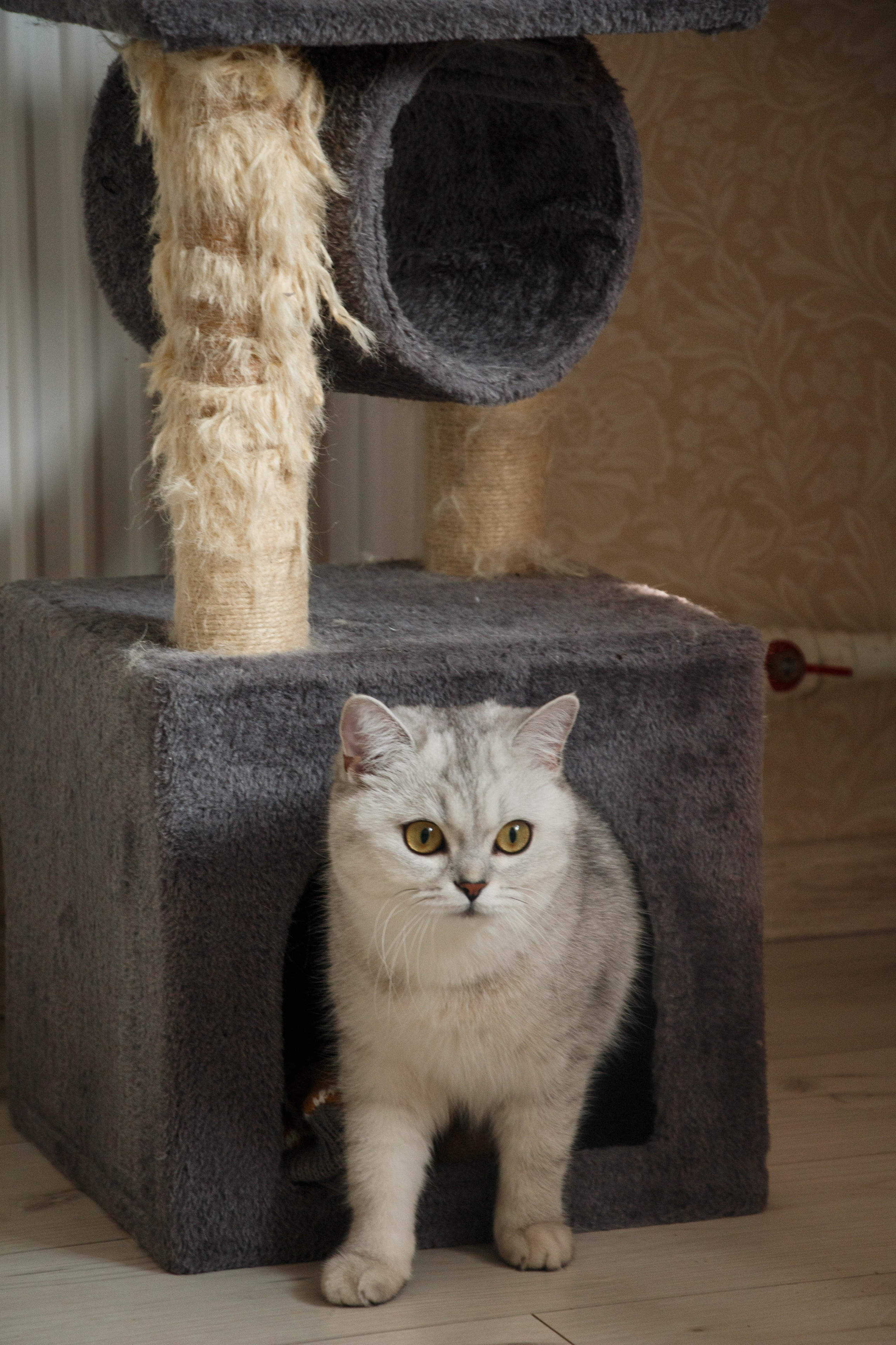 NASTYA & KITTI. Бережно сохраняю ваши чувства и истории на своих фотографиях