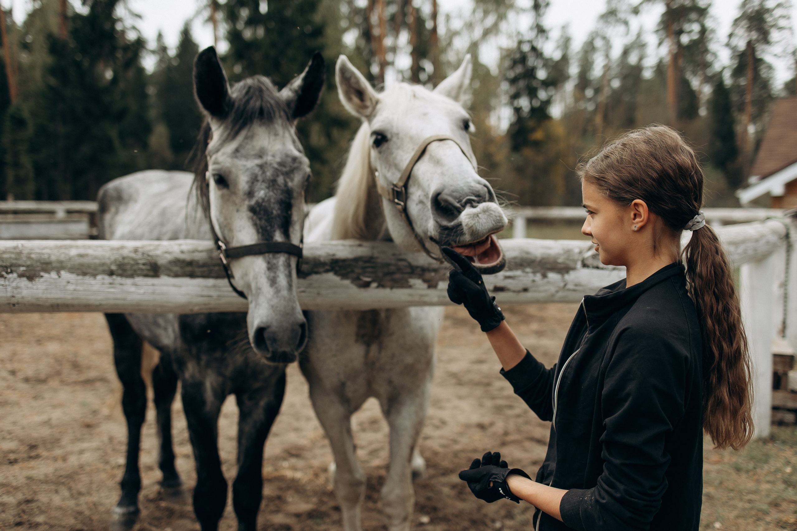 Лошади. Ваш фотограф в Москве и области Юлия