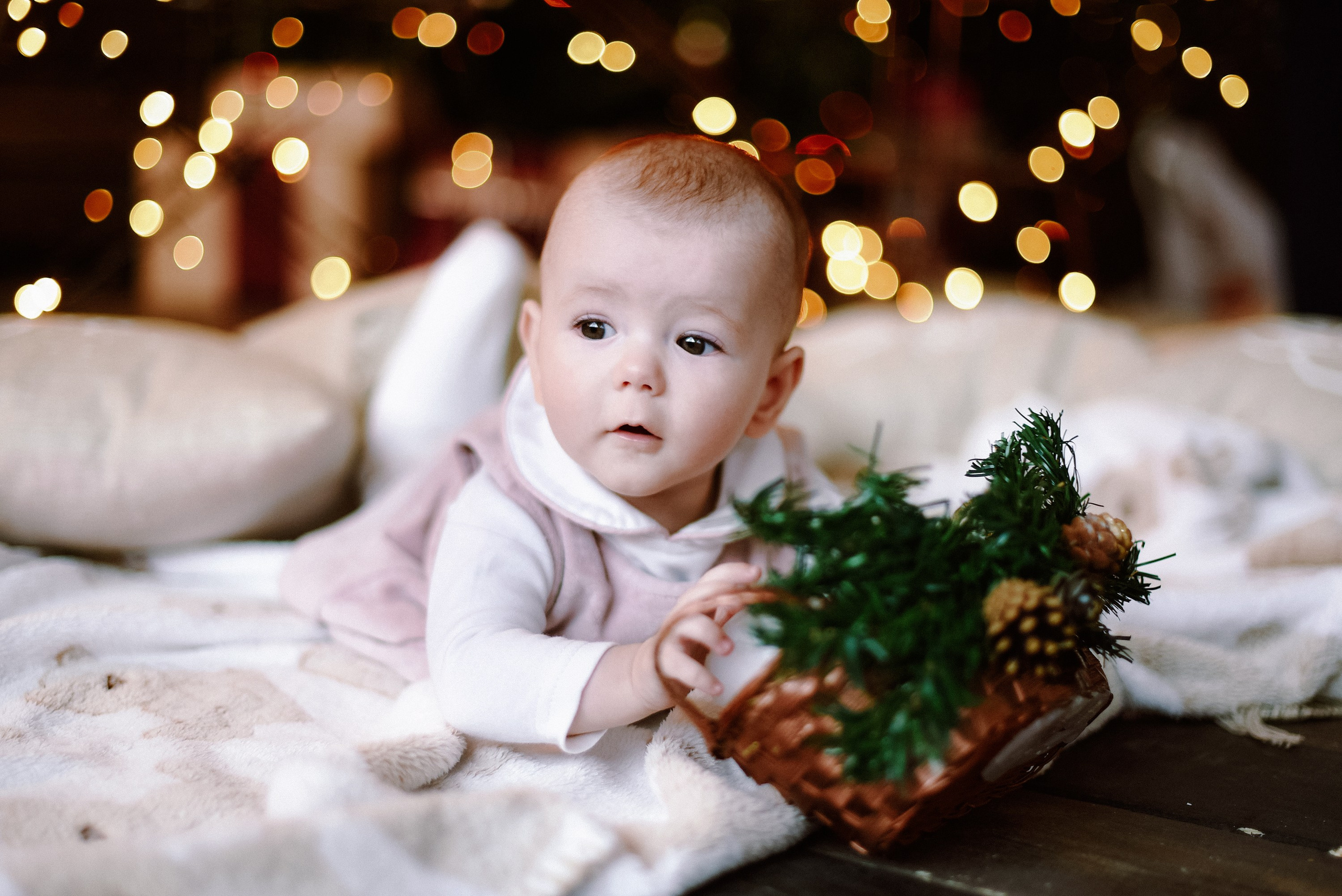 Семейное. Универсальный фотограф и видеограф