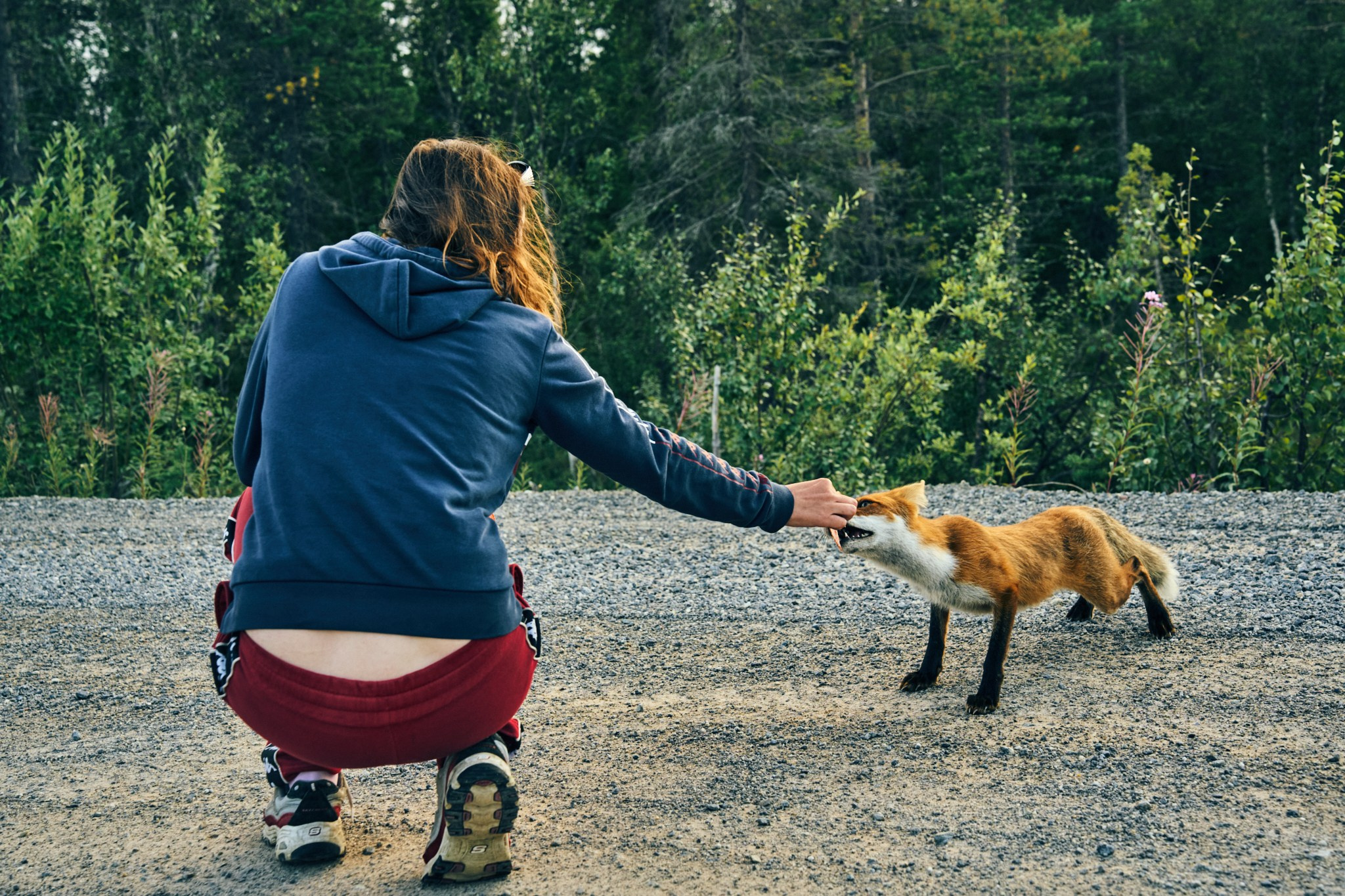 Путешествие на Север в 2023 году. Внедорожные путешествия — OFFROADTRIP