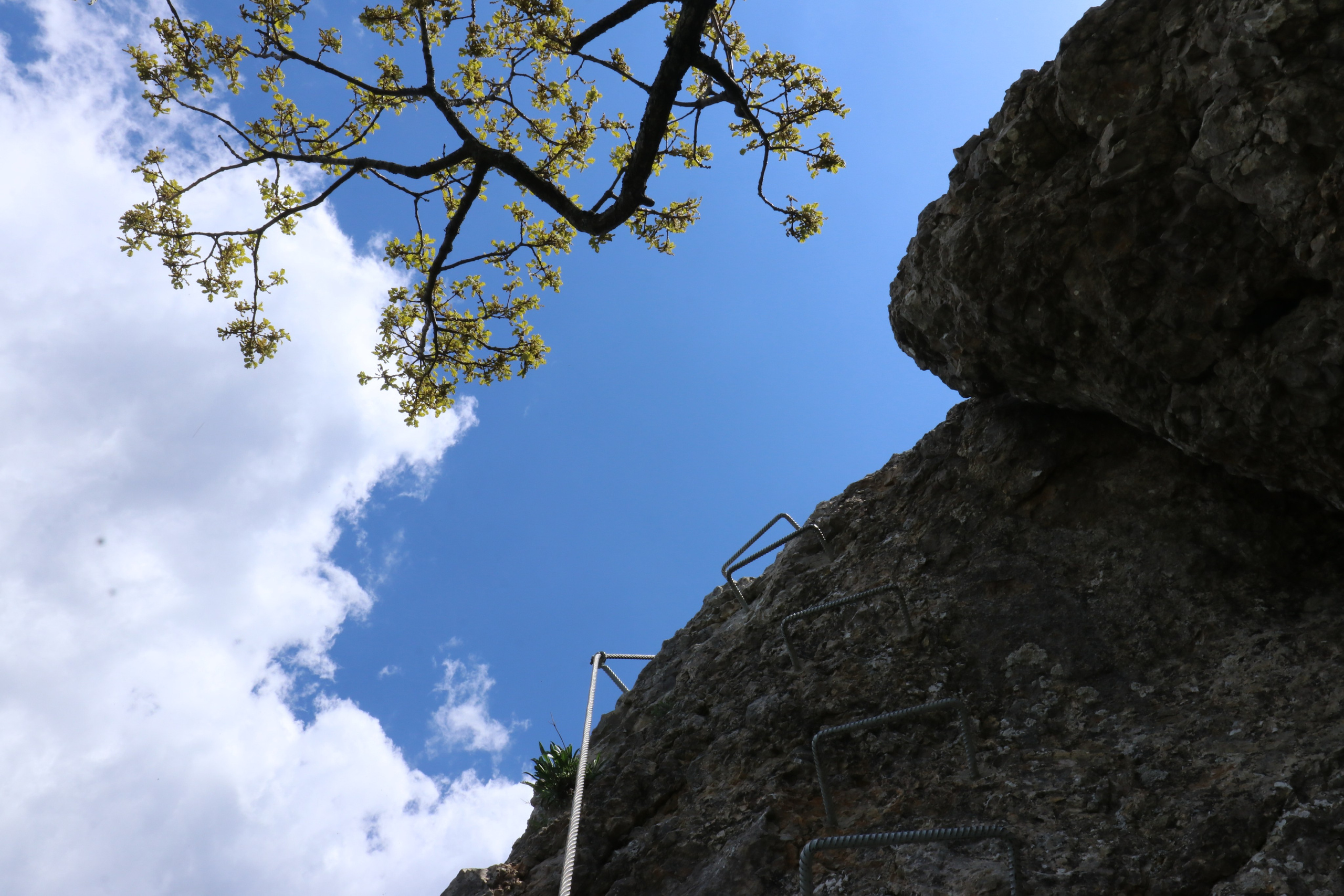 Крым. ЮБК (Севастополь, Кастрополь, Ялта). Май 2023. Путешественник-фотограф из Санкт-Петербурга Татьяна Свистулина