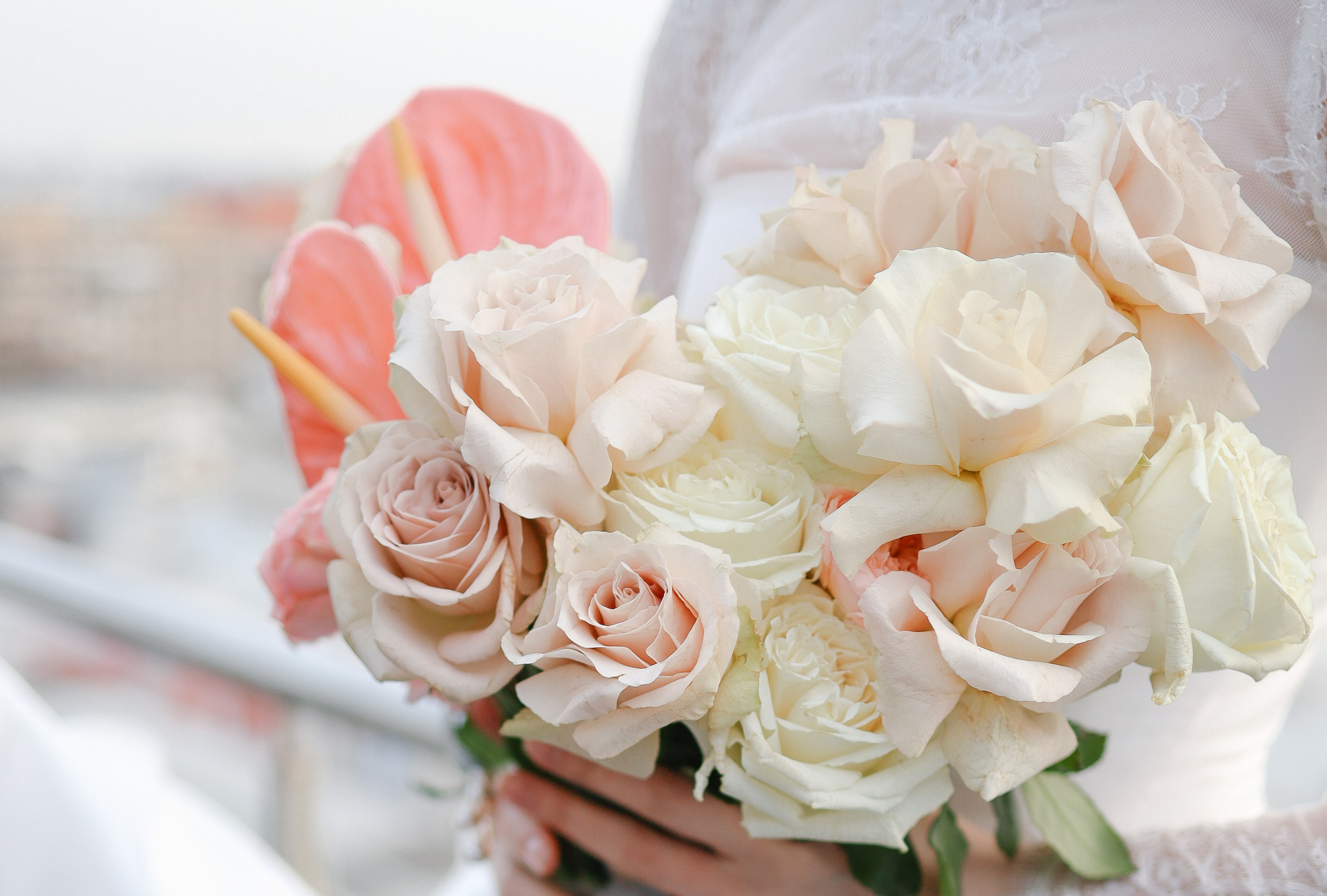 Даниель и Лиза | камерная свадьба. Свадебный фотограф в Москве Наталья Струкова