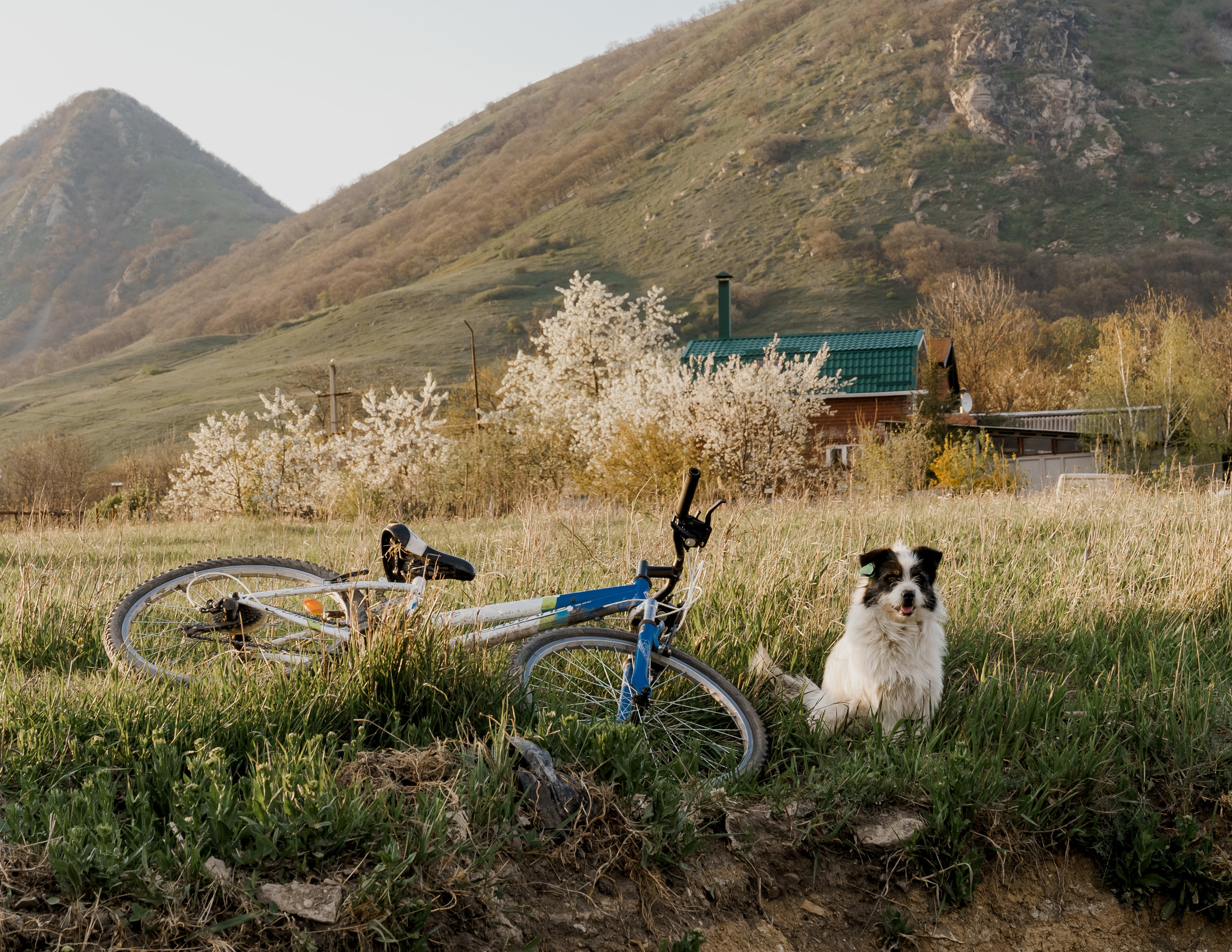 Wild Peonies. PhuQuoc photographer — Phu Quoc wedding photographer