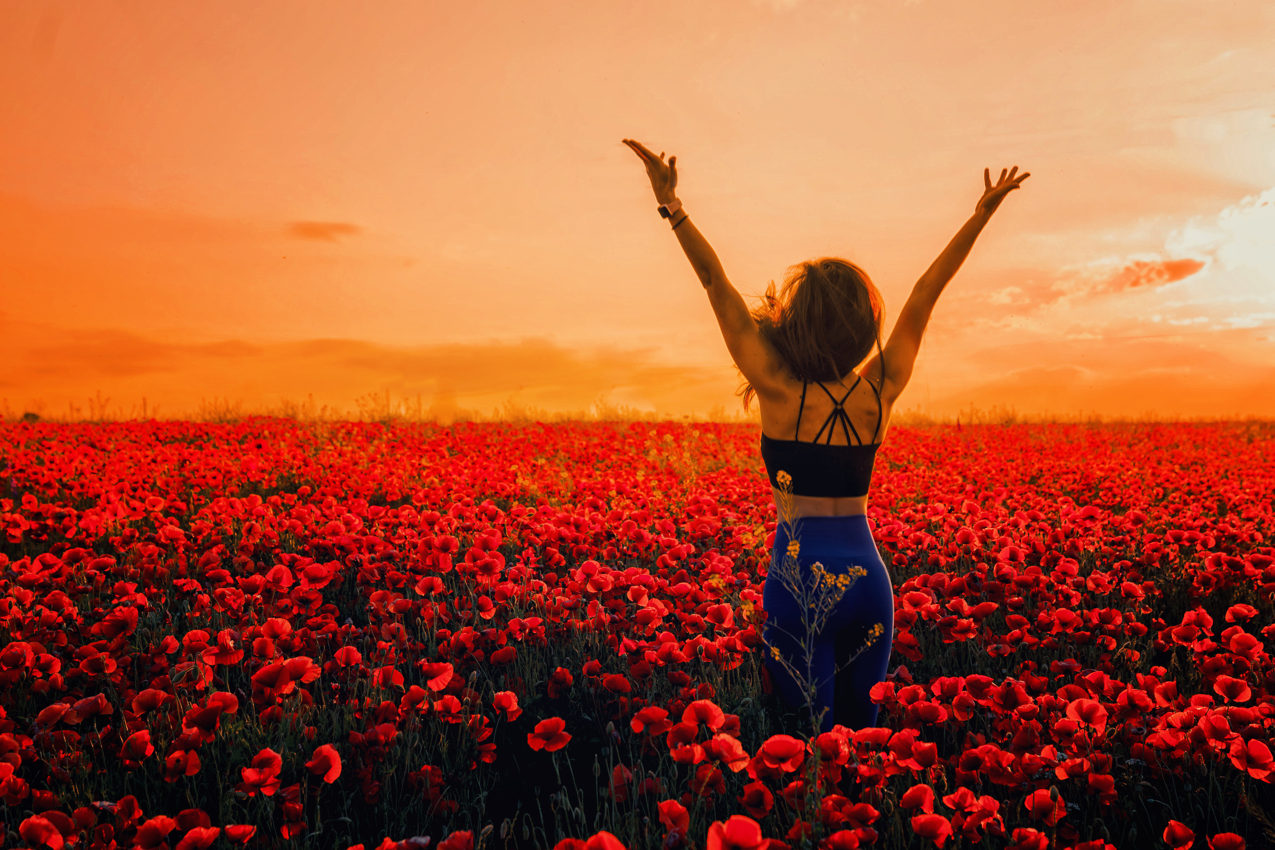 Poppies. PhuQuoc photographer — Phu Quoc wedding photographer