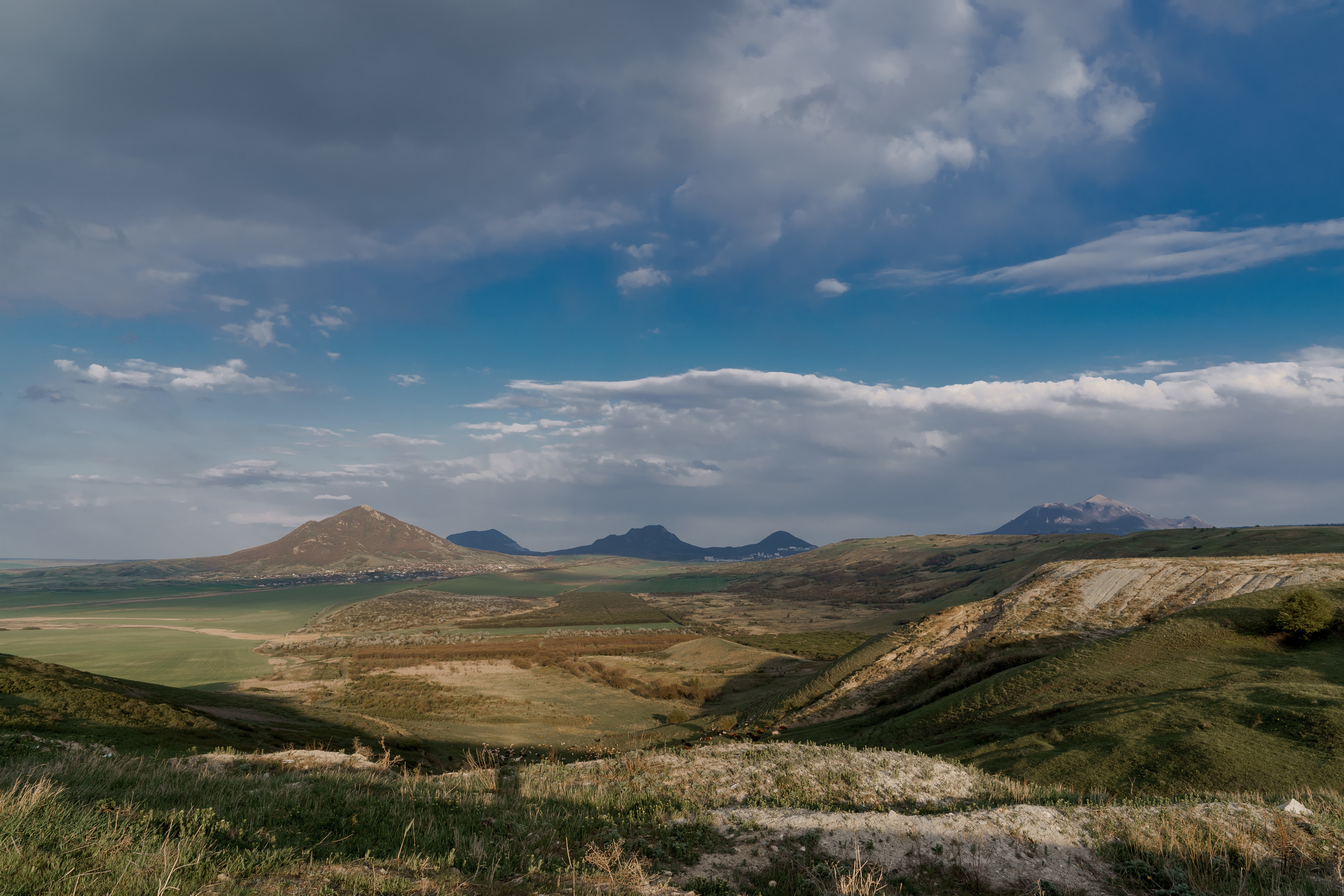 Wild Peonies. PhuQuoc photographer — Phu Quoc wedding photographer