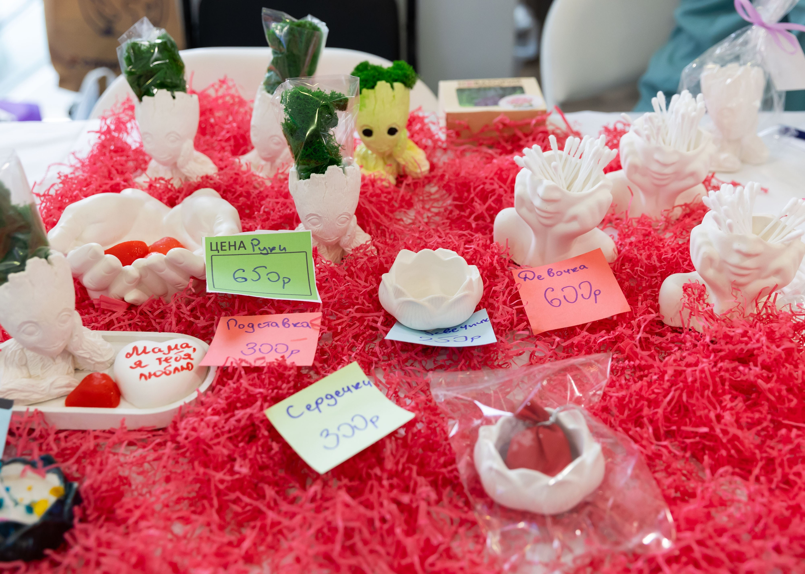 01.03.2025 Ярмарка Новатория. ФОТОГРАФ ВИНОГРАДОВА ДАРЬЯ