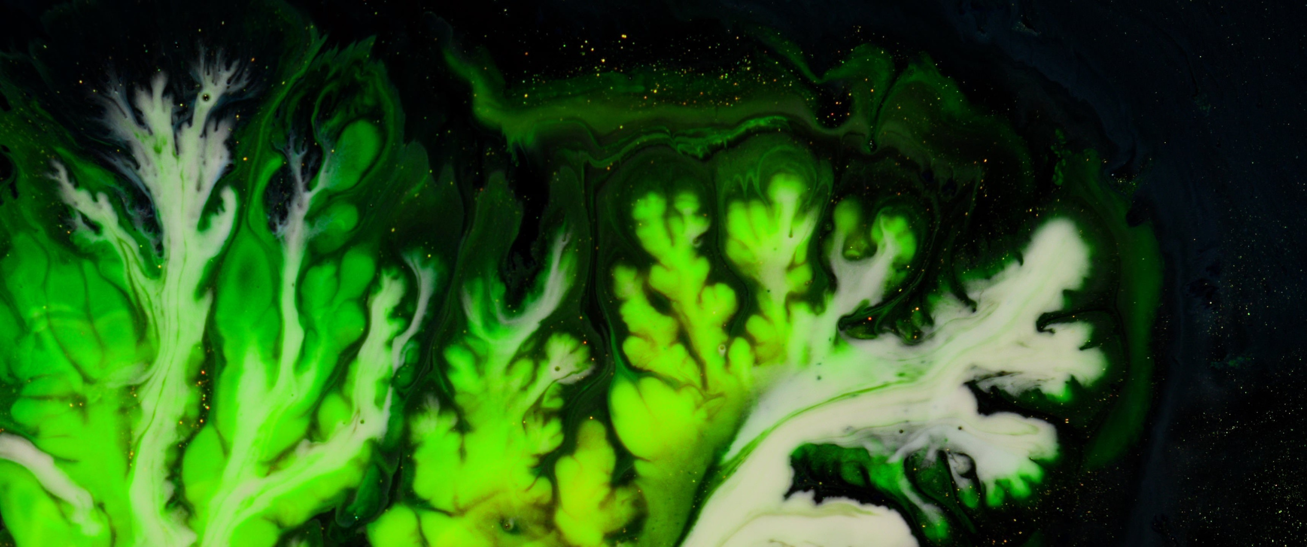 Genesis. Short films by Vadim Sherbakov