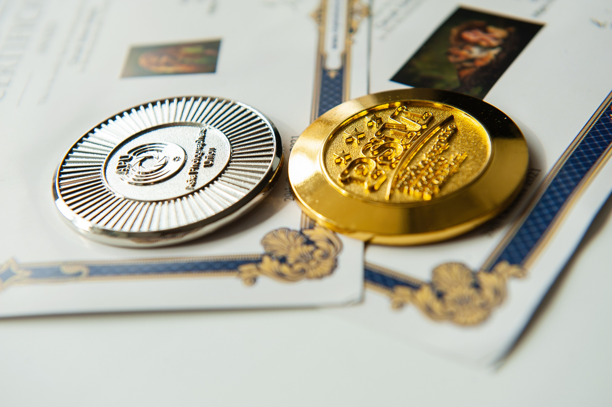 Награды фотографа Аксиньи Лысенковой. Детский, семейный фотограф в Ижевске и Москве Аксинья Лысенкова ADEN