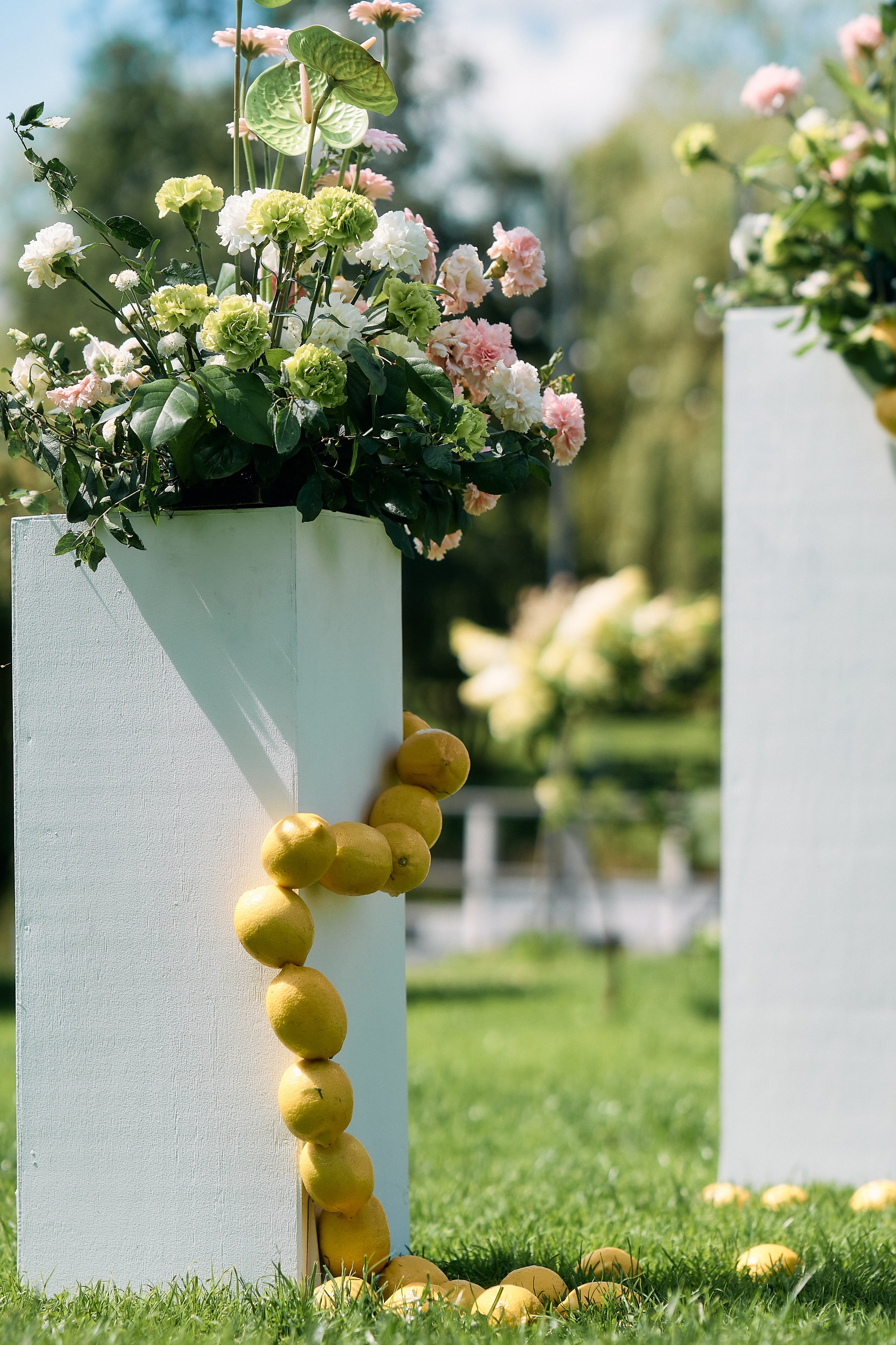 Виталий и Диана. Свадебный фотограф Минск РБ