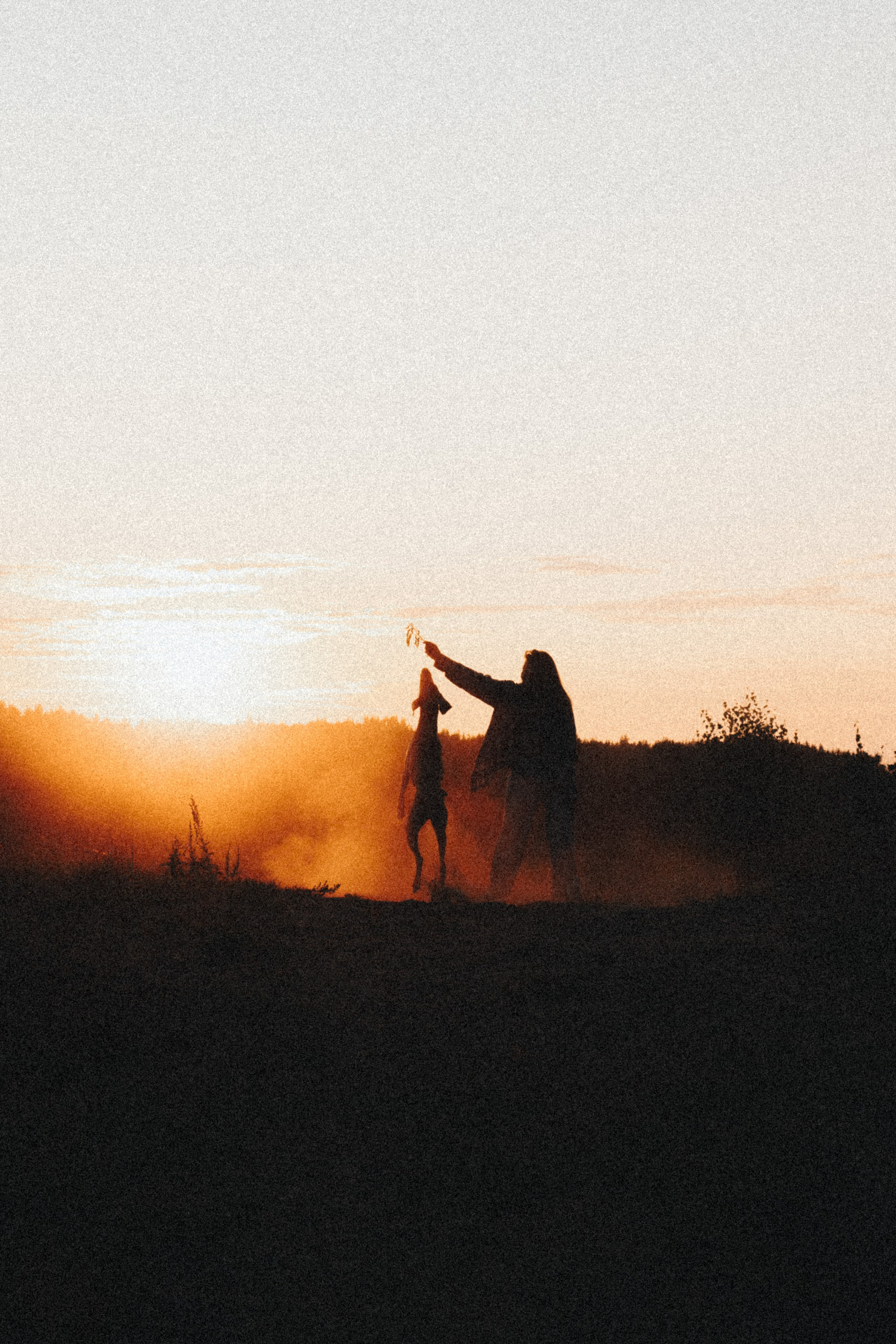 Юля и Эспен. Фотограф анималист Осипчикова Мария