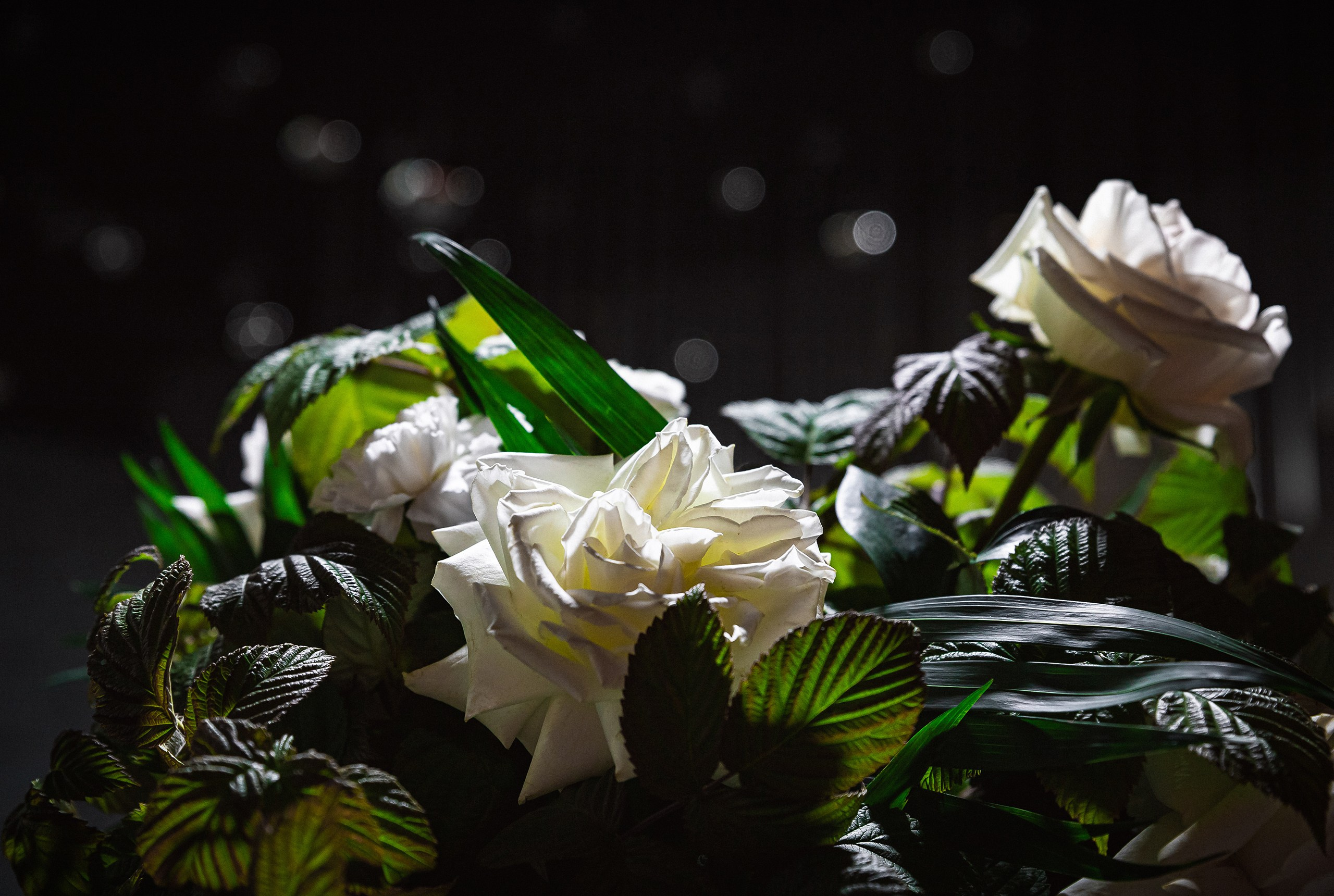 Антураж. Фотограф Сергей Шурмин