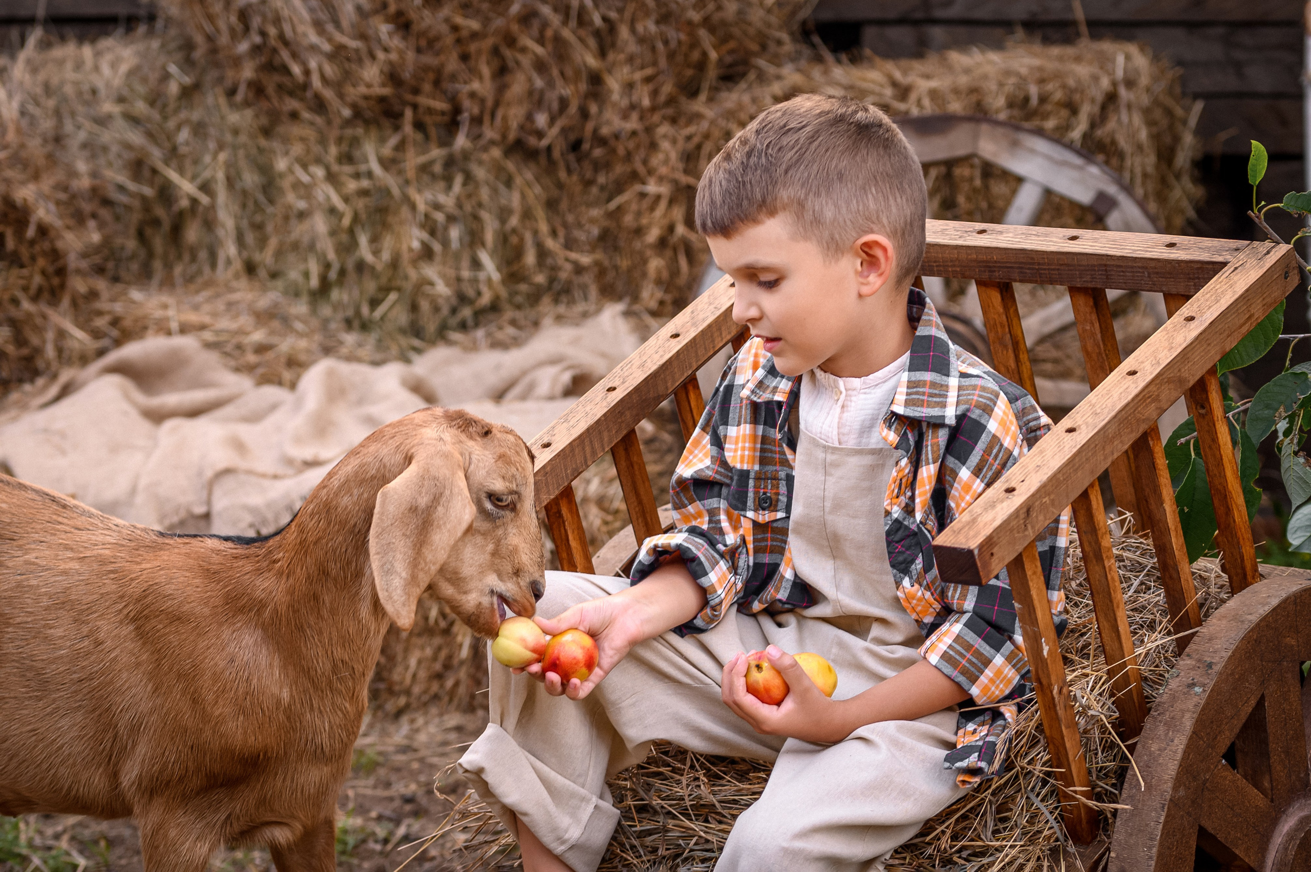 ДЕРЕВЕНСКИЕ ИСТОРИИ. Семейный и детский фотограф в Канске и Канском р-не, Красноярск и