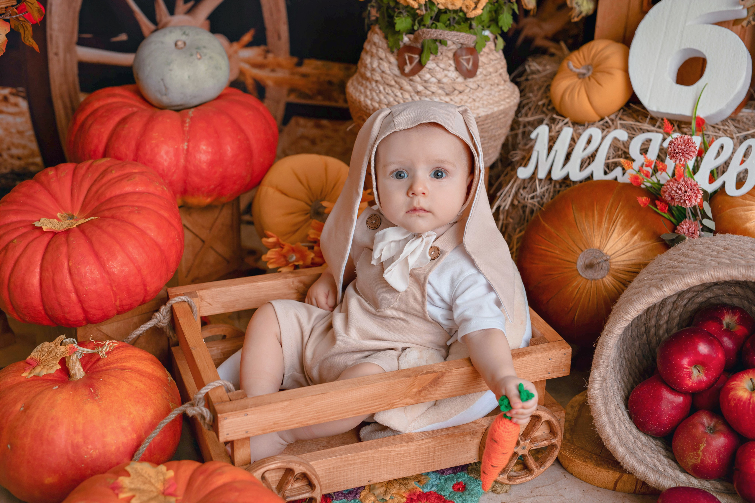 Фотопроект 12 месяцев. Фотограф Болотова Иветта