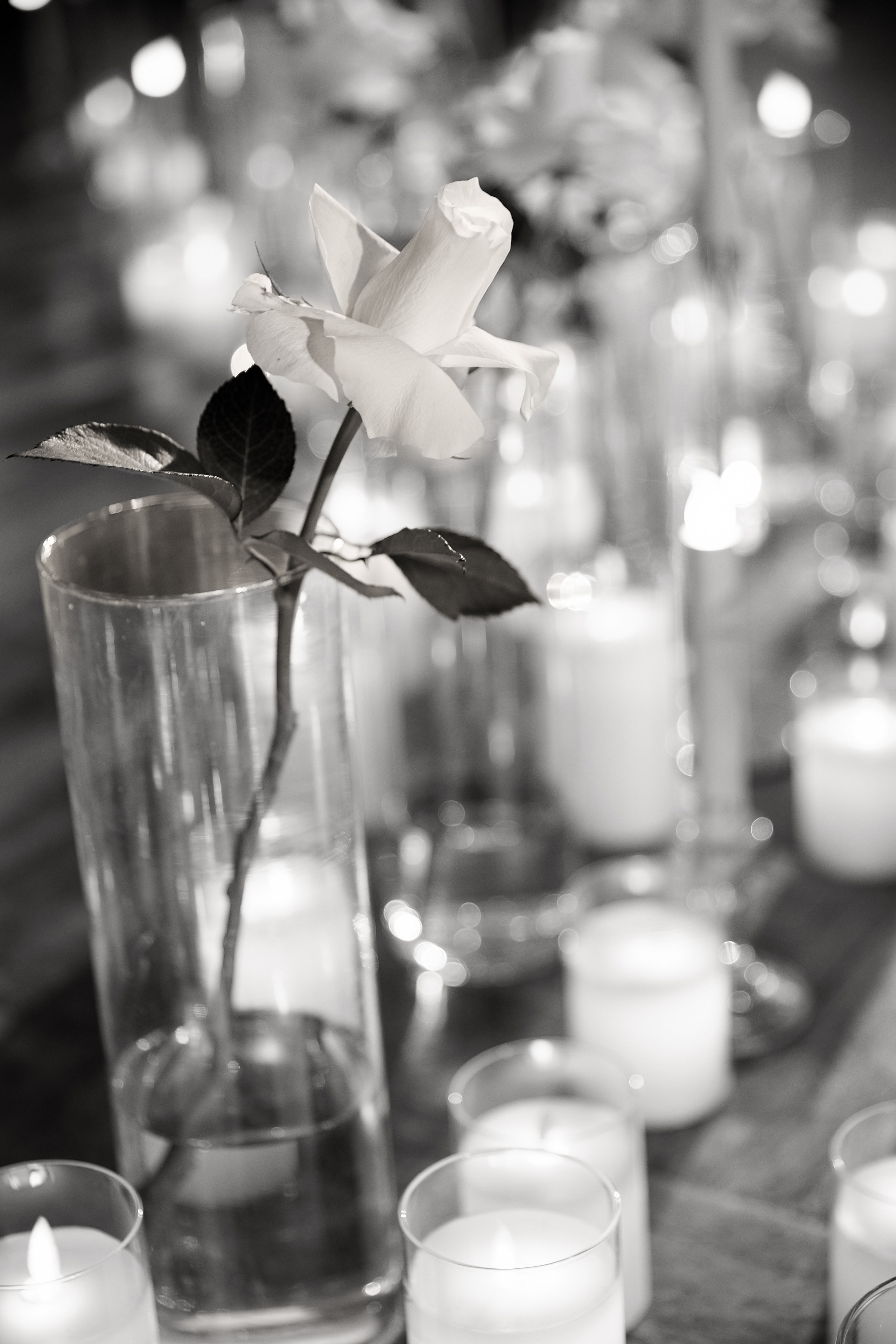 Красивый музыкальный вечер от @angela_koritsa. Свадебный и семейный фотограф в Ульяновске Орешина Елена