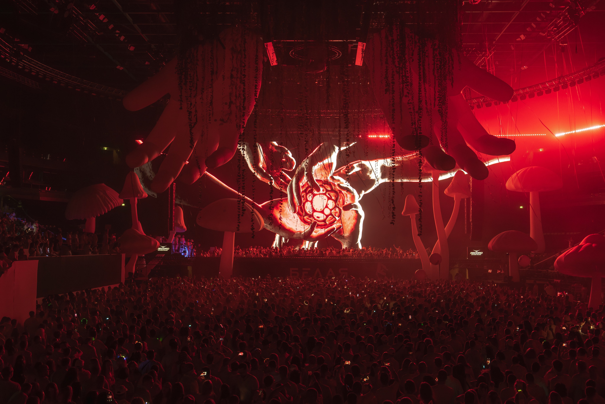 БЕЛАЯ 2025. Святослав Буньков | фотограф