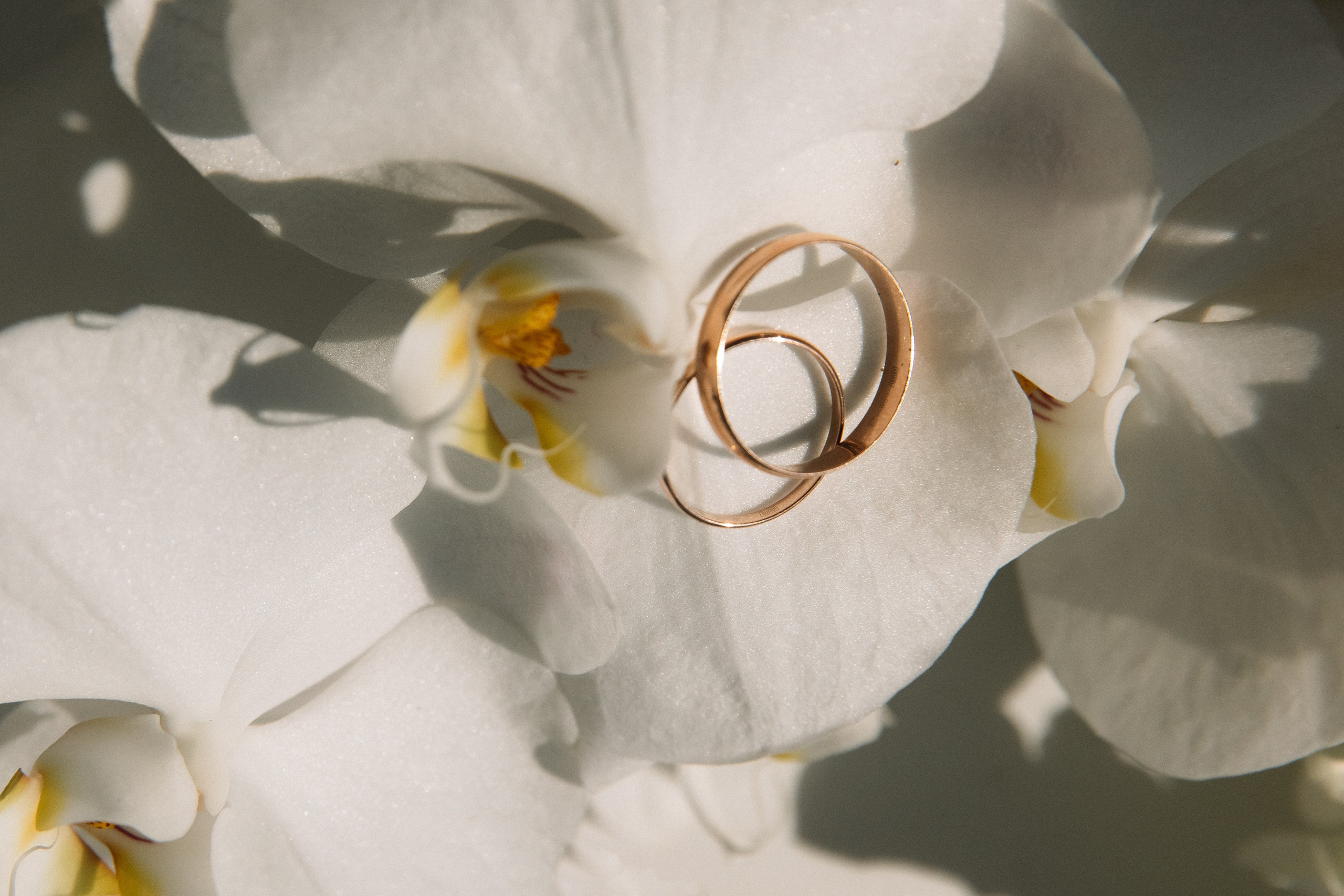 Свадебный анонс. Свадебный фотограф Кузнецова Ольга Санкт-Петербург, Вологда, Череповец