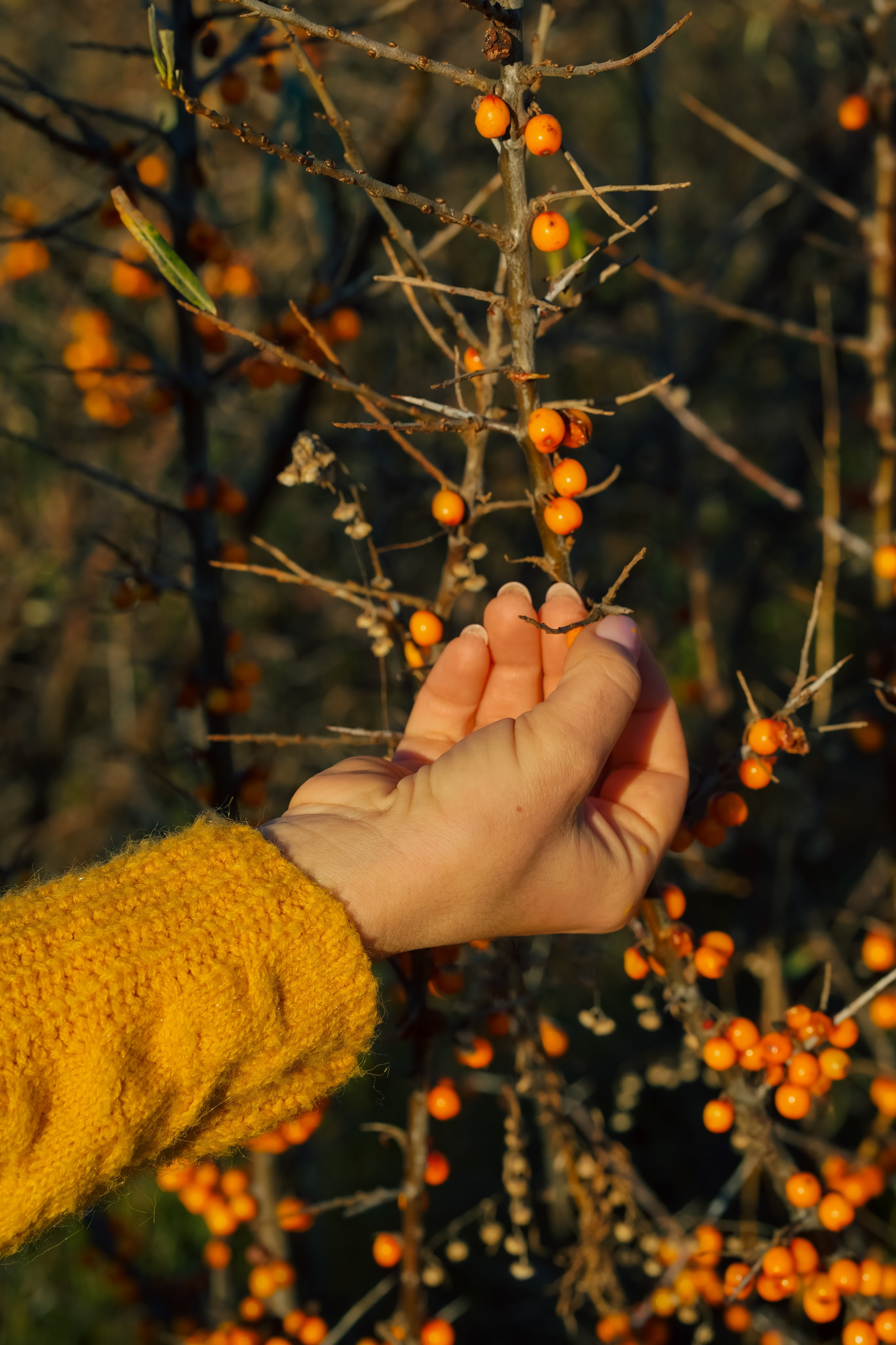 Татьяна. Главная