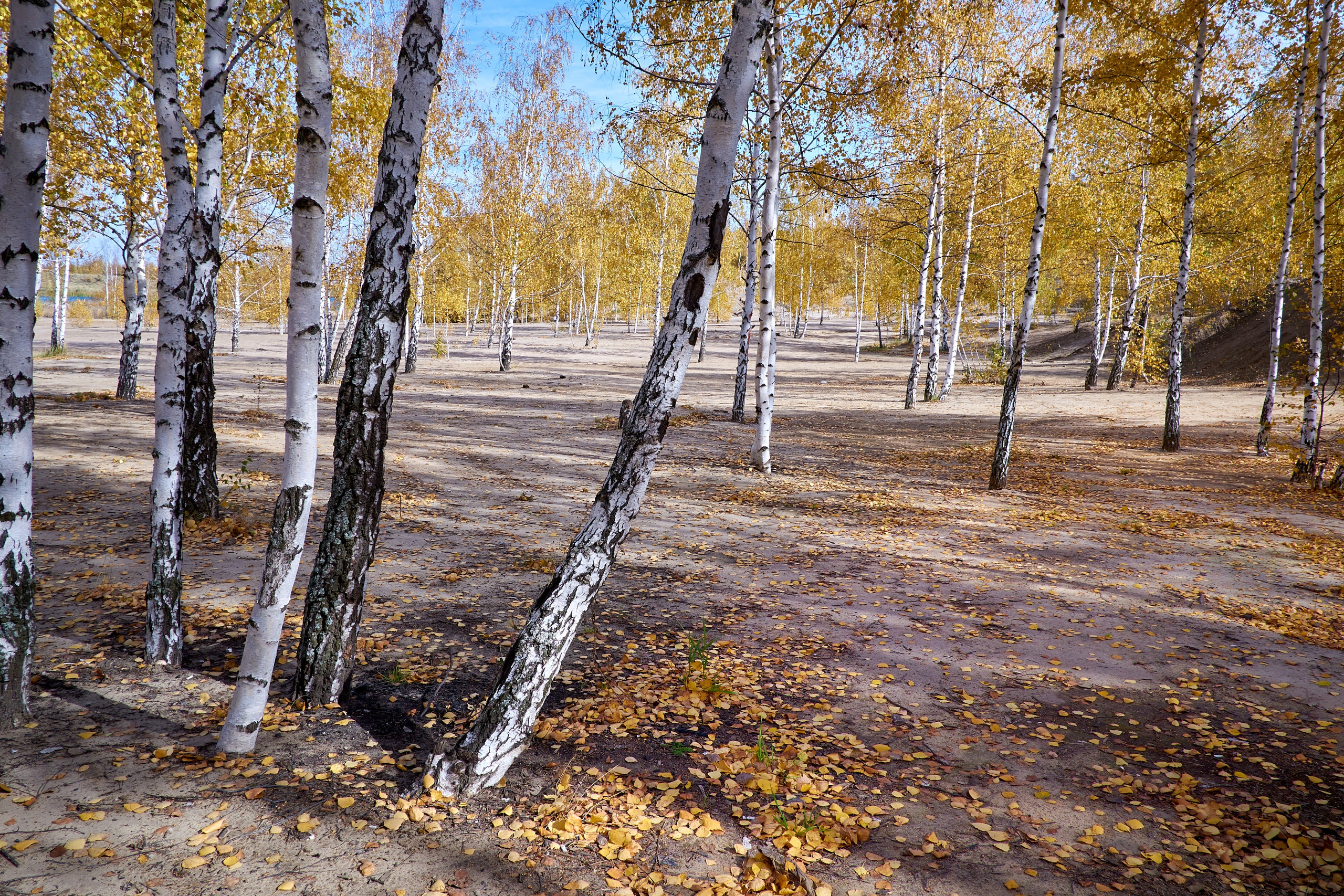 Фотопостер для интерьера.